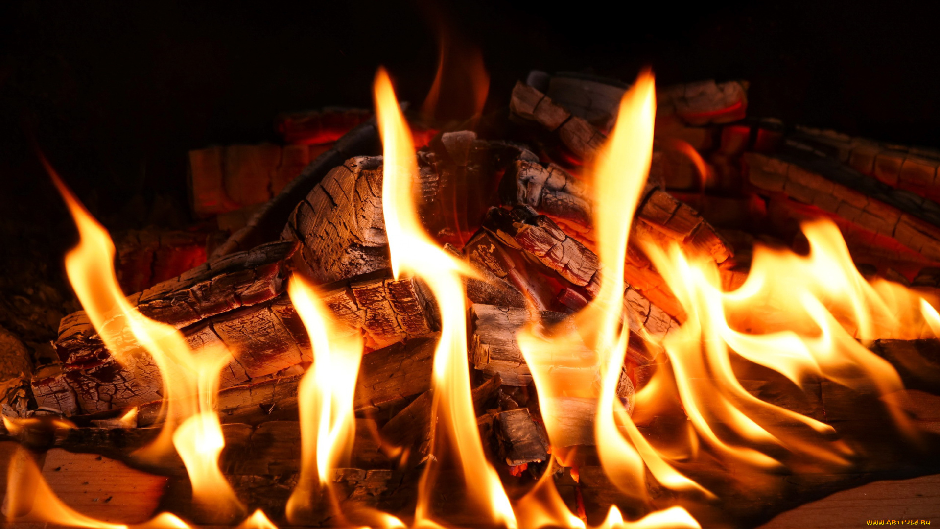 природа, огонь, пламя, дрова