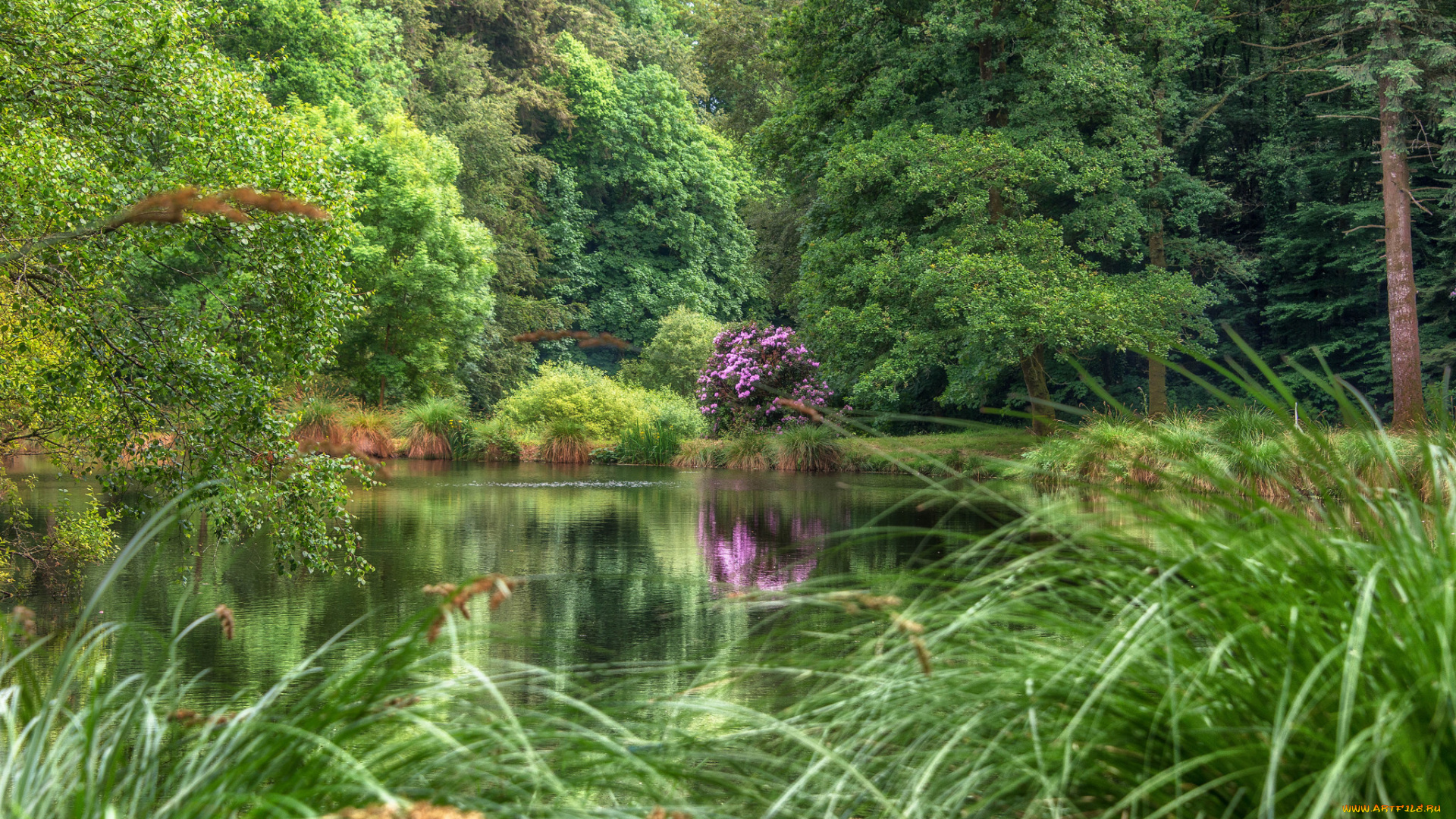 природа, реки, озера, простор