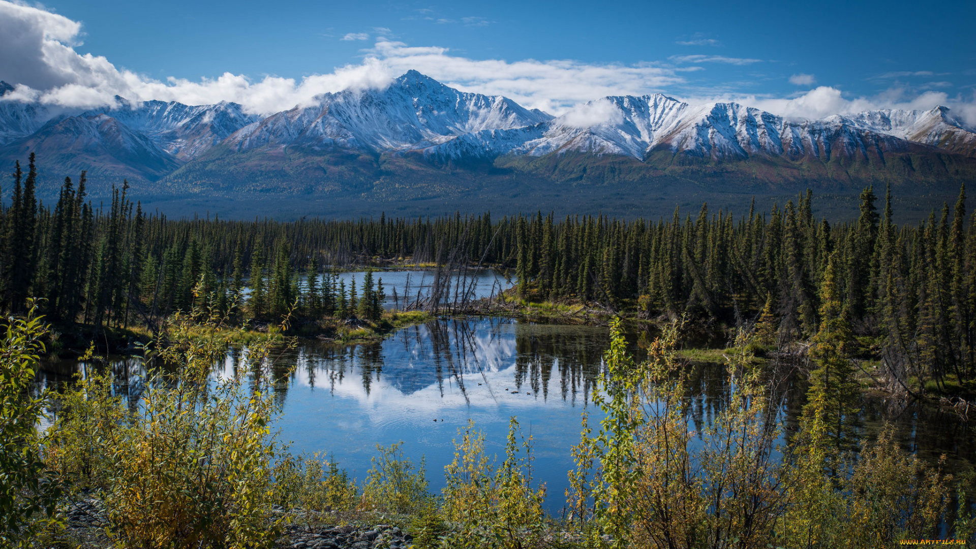 природа, реки, озера, простор