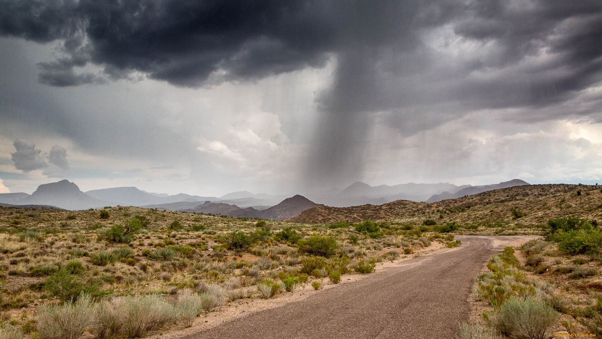 природа, стихия, простор