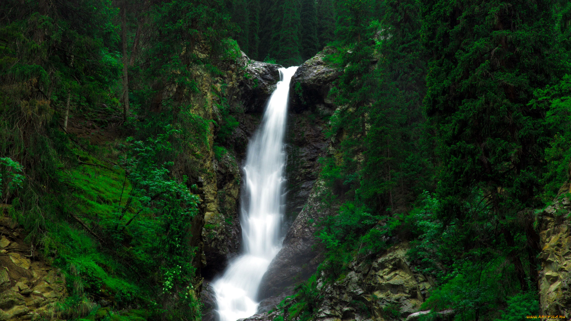 природа, водопады, водопад, лес, деревья