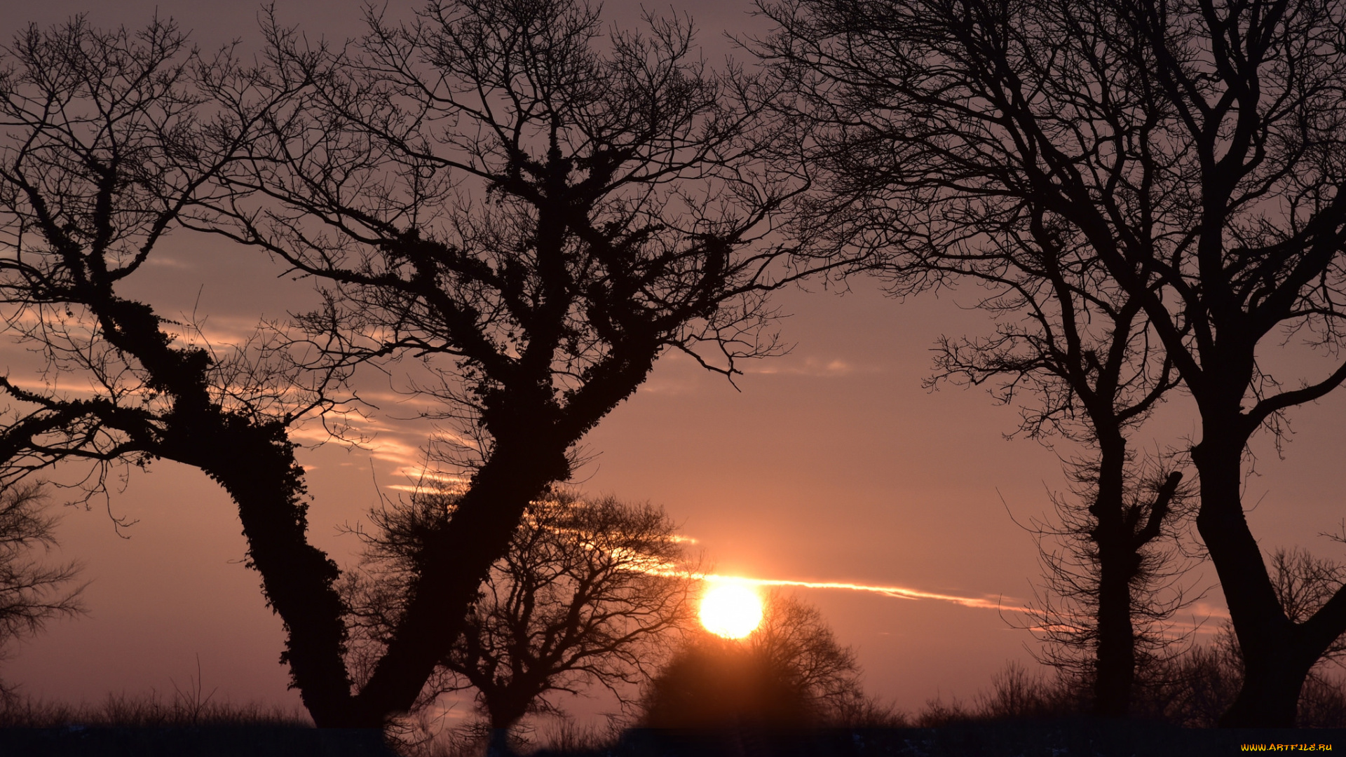 природа, восходы, закаты, простор