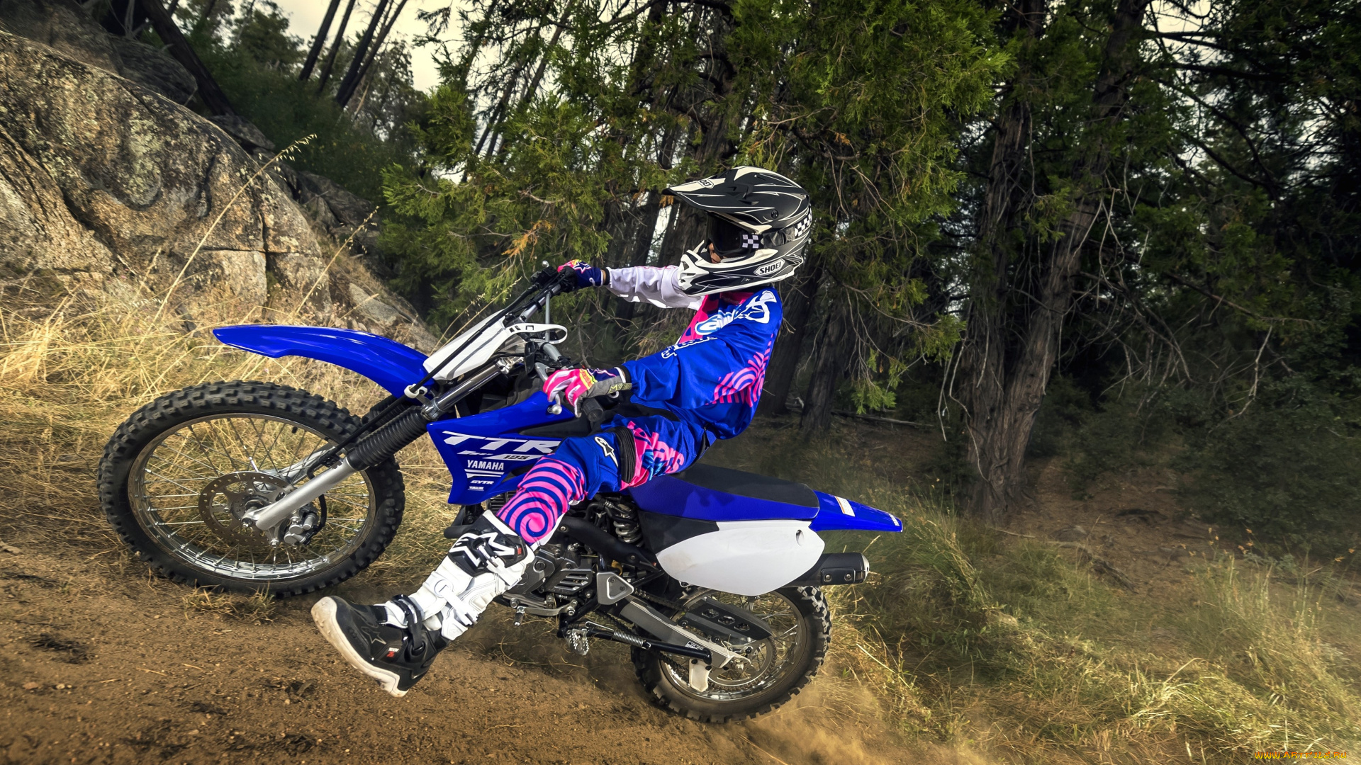 спорт, мотокросс, гонки, скорость