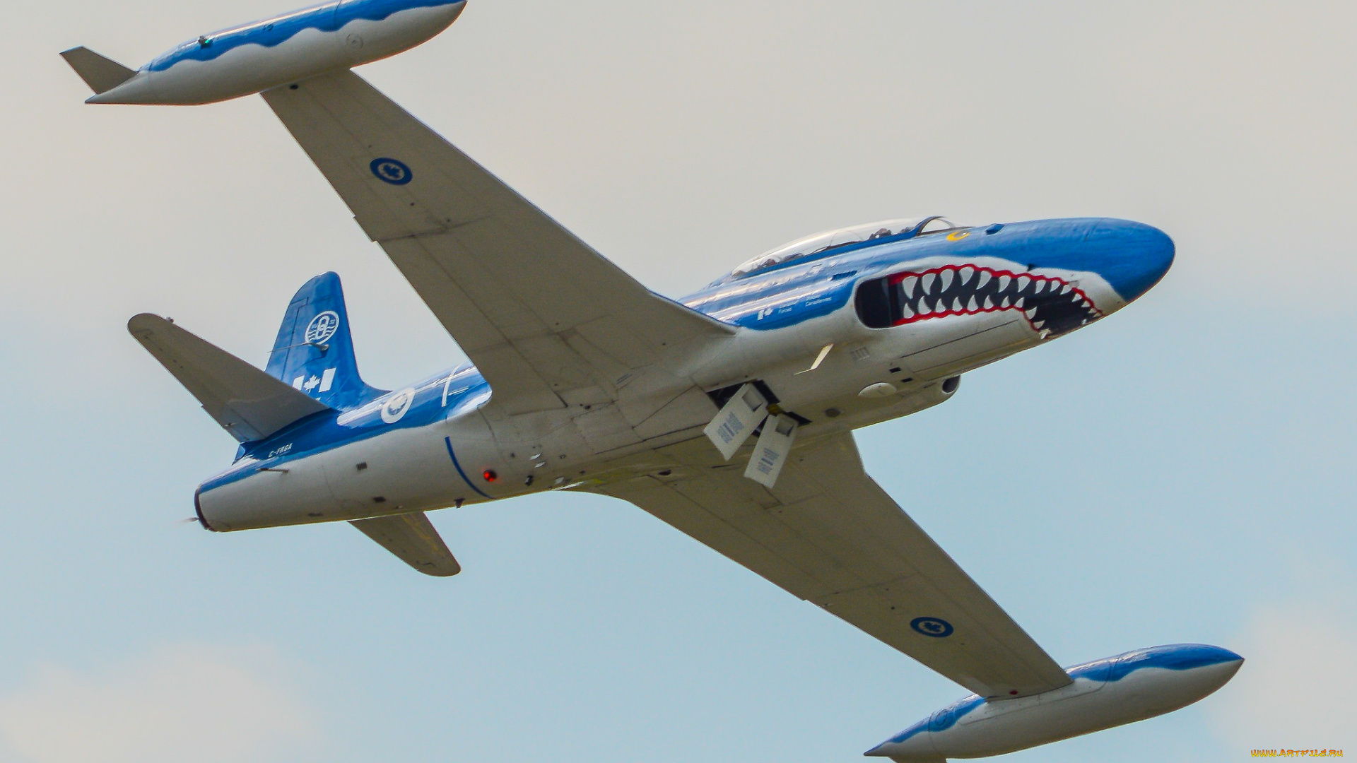 t-33, mako, shark, авиация, боевые, самолёты, ввс