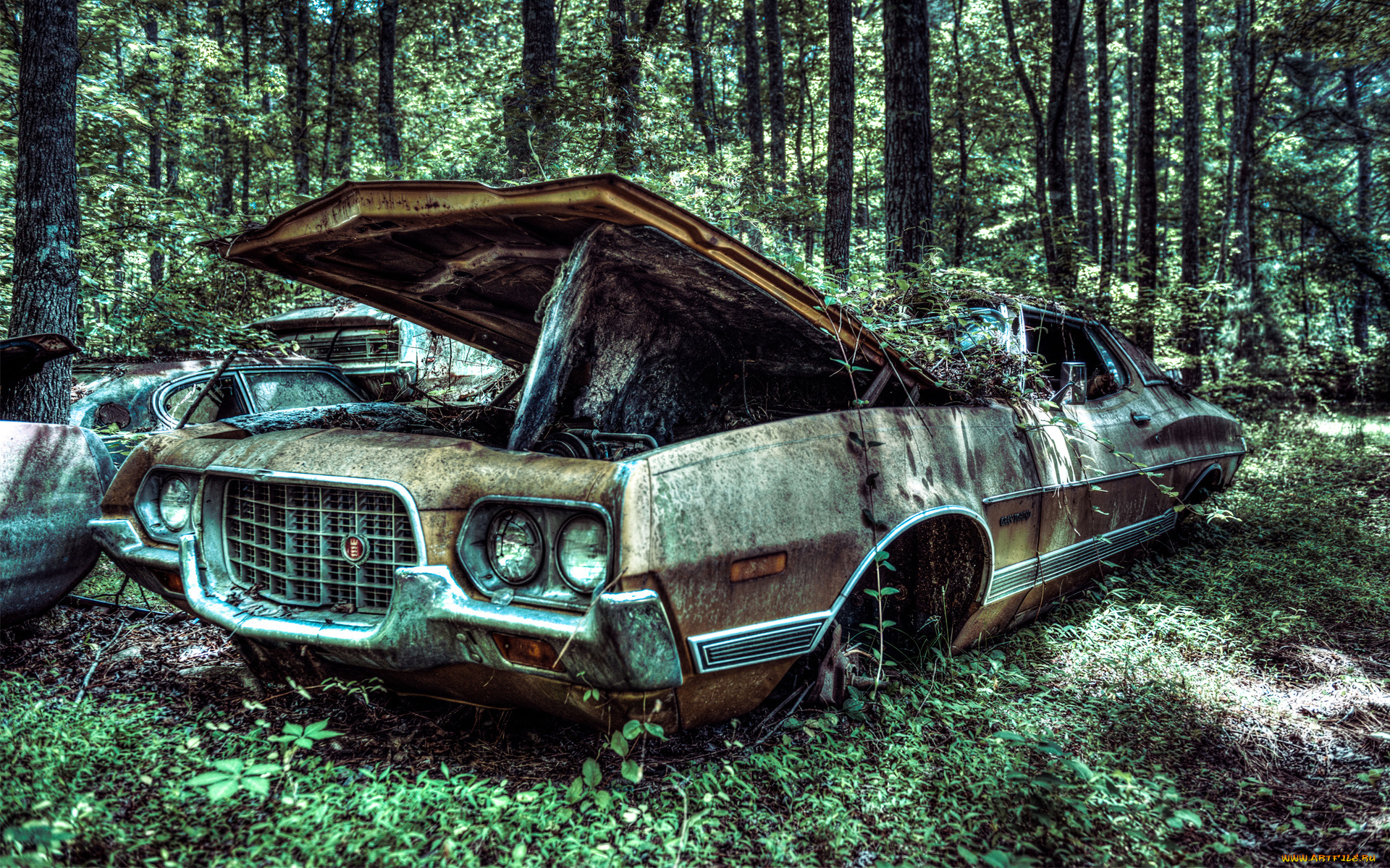 автомобили, ford