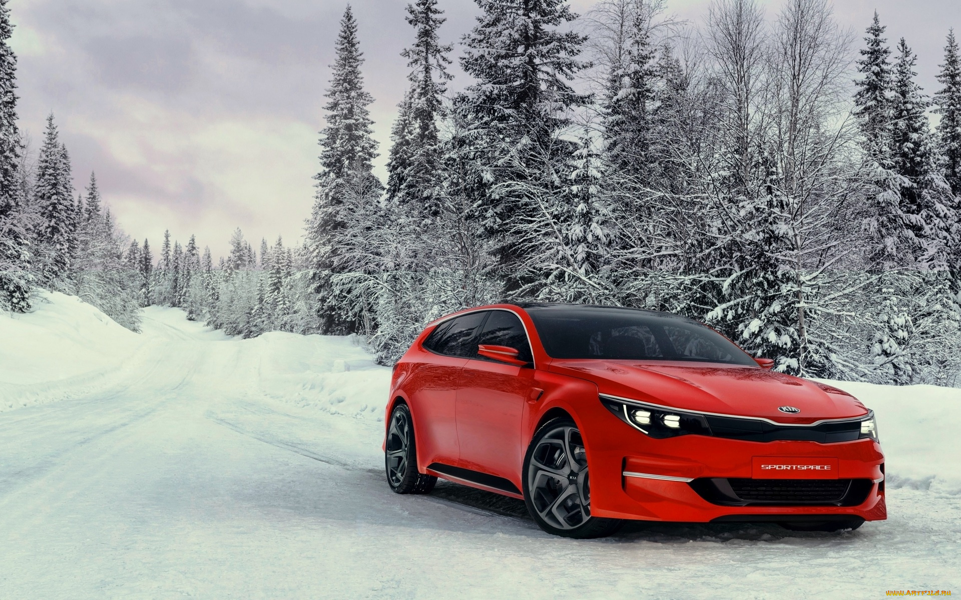 автомобили, kia, лес, зима, снег, красный, дорога, sportspace, concept, киа