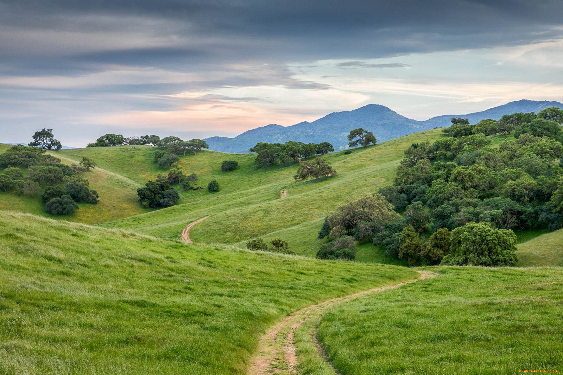 природа, пейзажи, простор