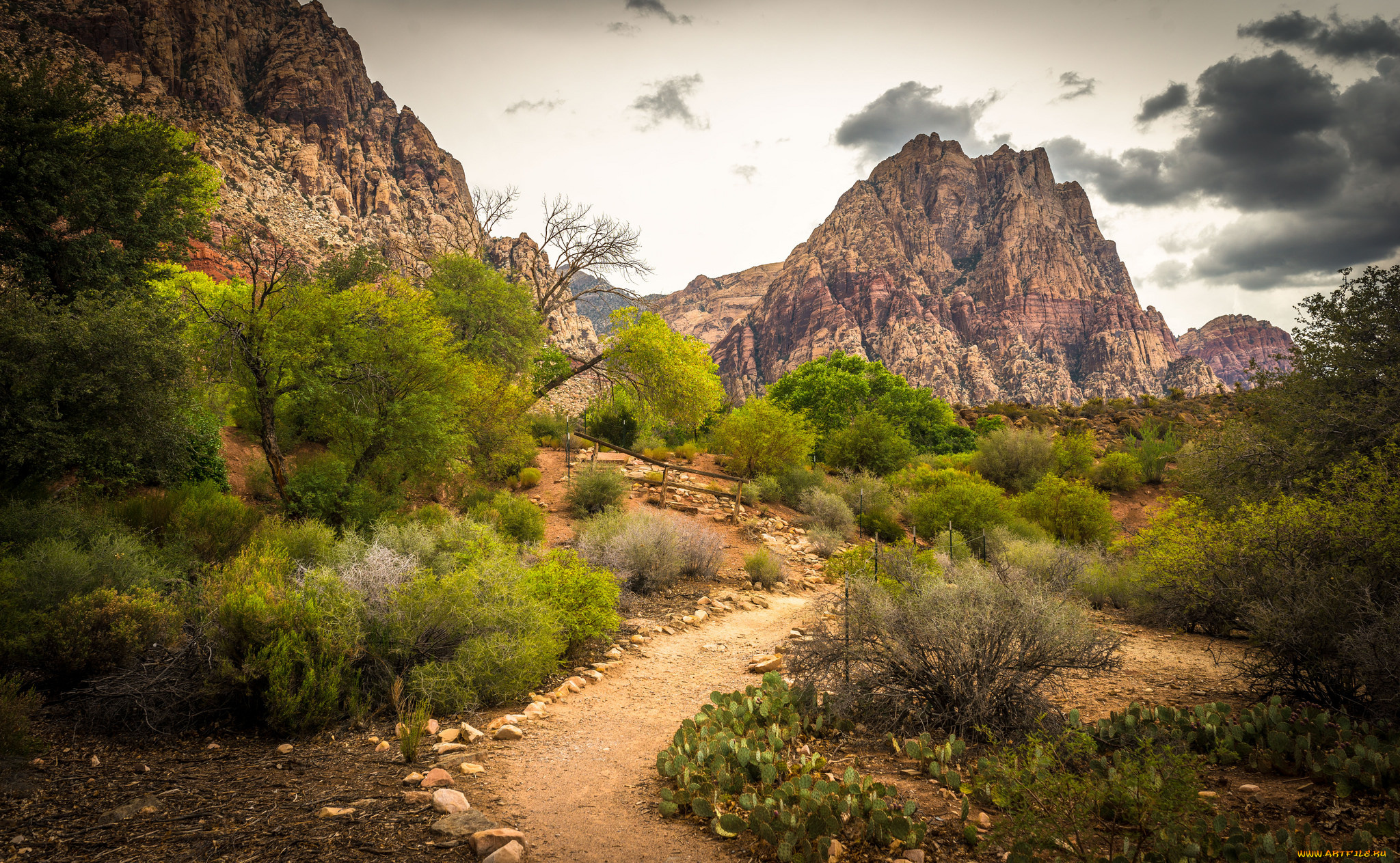 природа, горы, простор