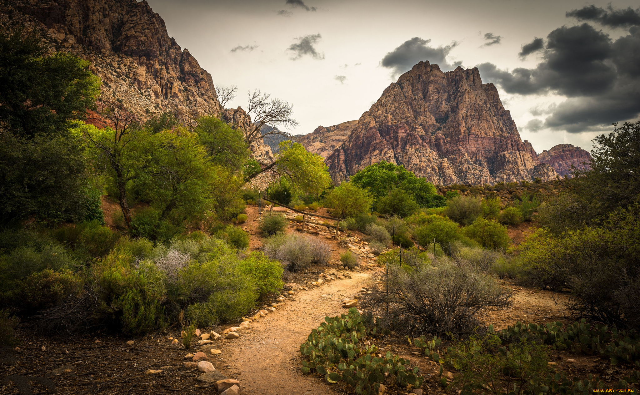 природа, горы, простор