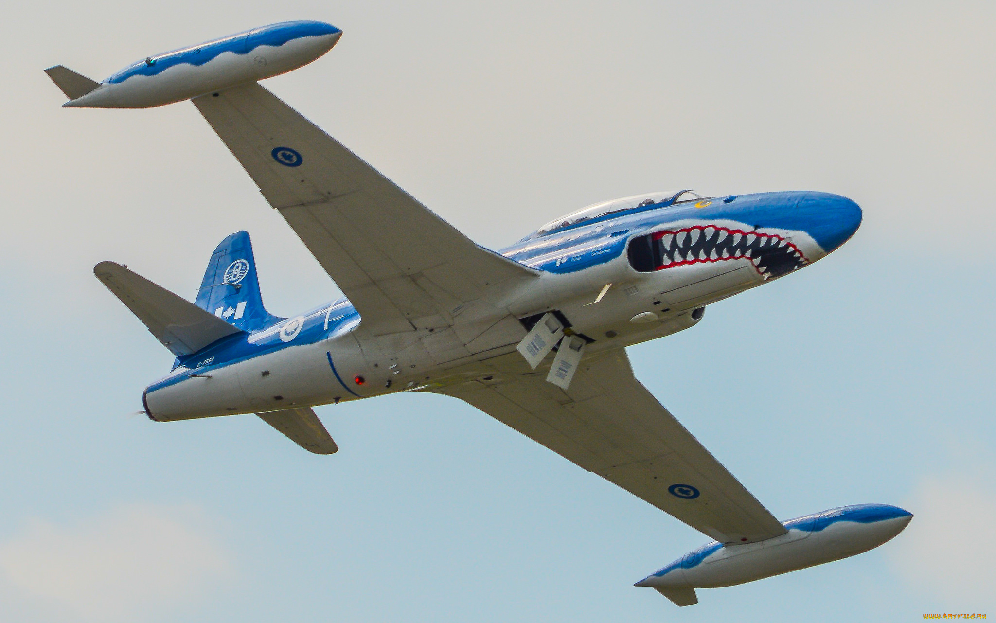 t-33, mako, shark, авиация, боевые, самолёты, ввс