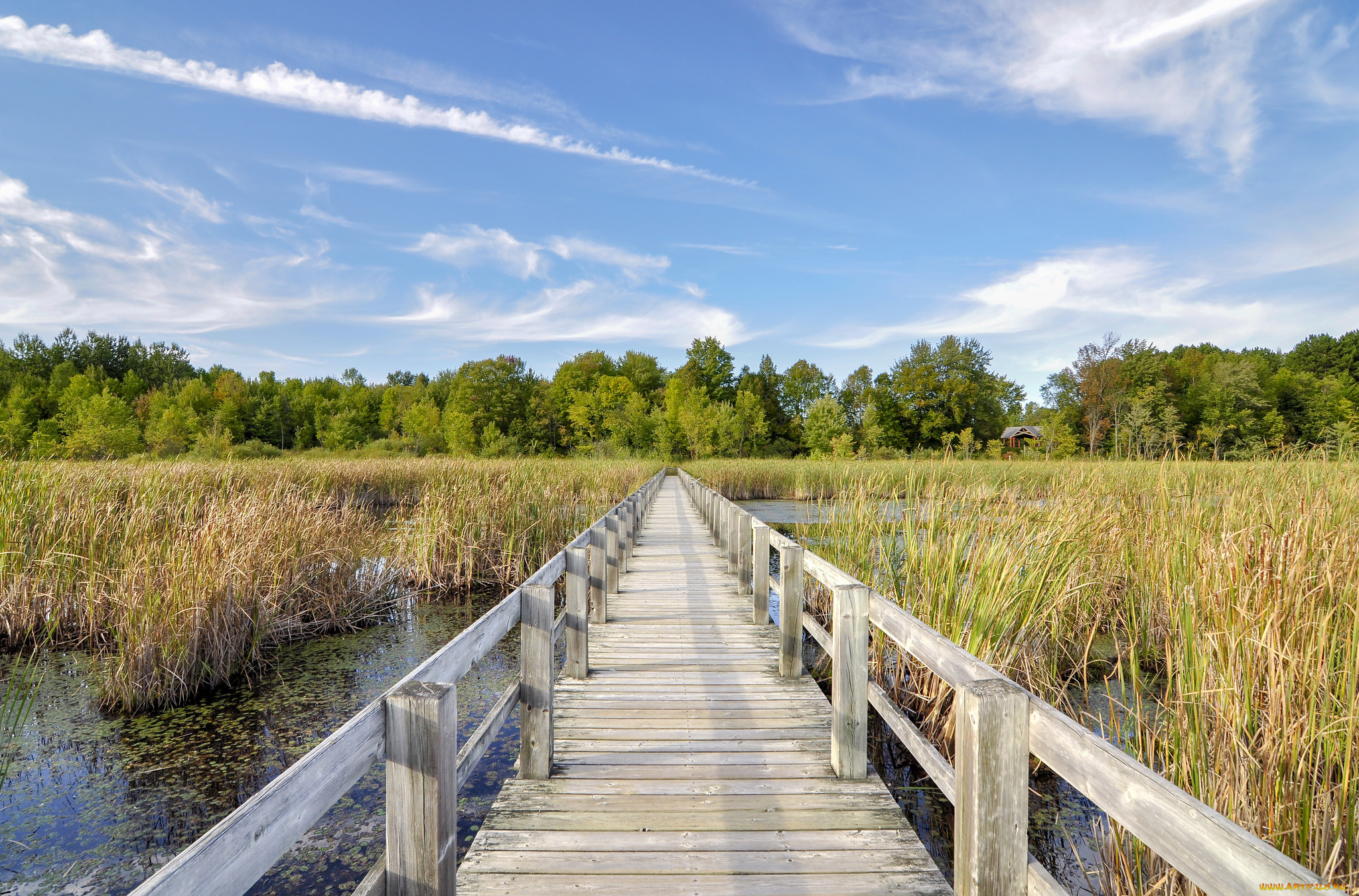 природа, дороги, простор