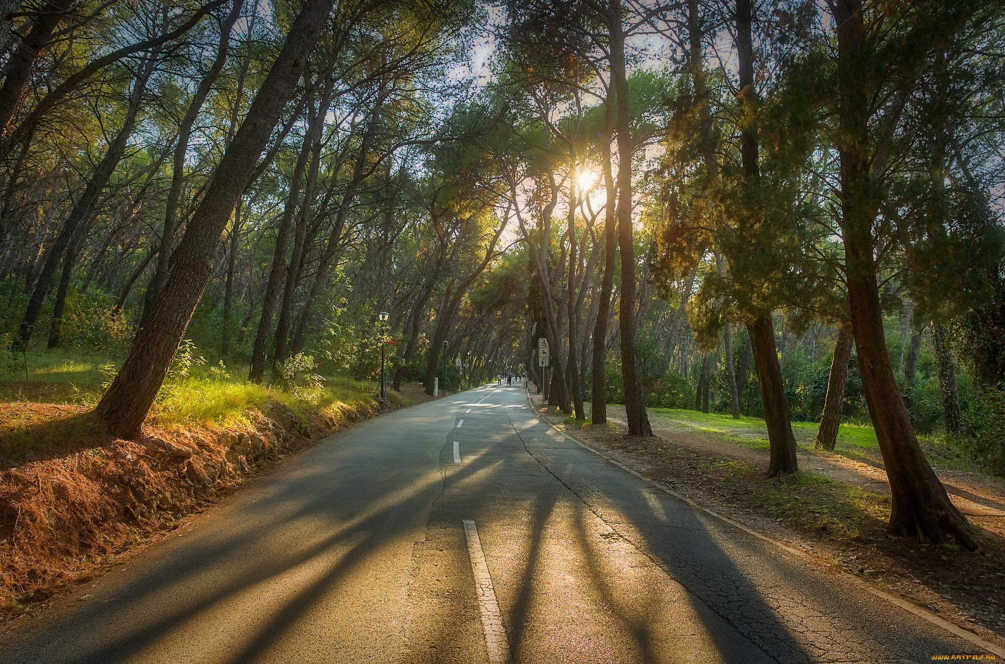 природа, дороги, простор