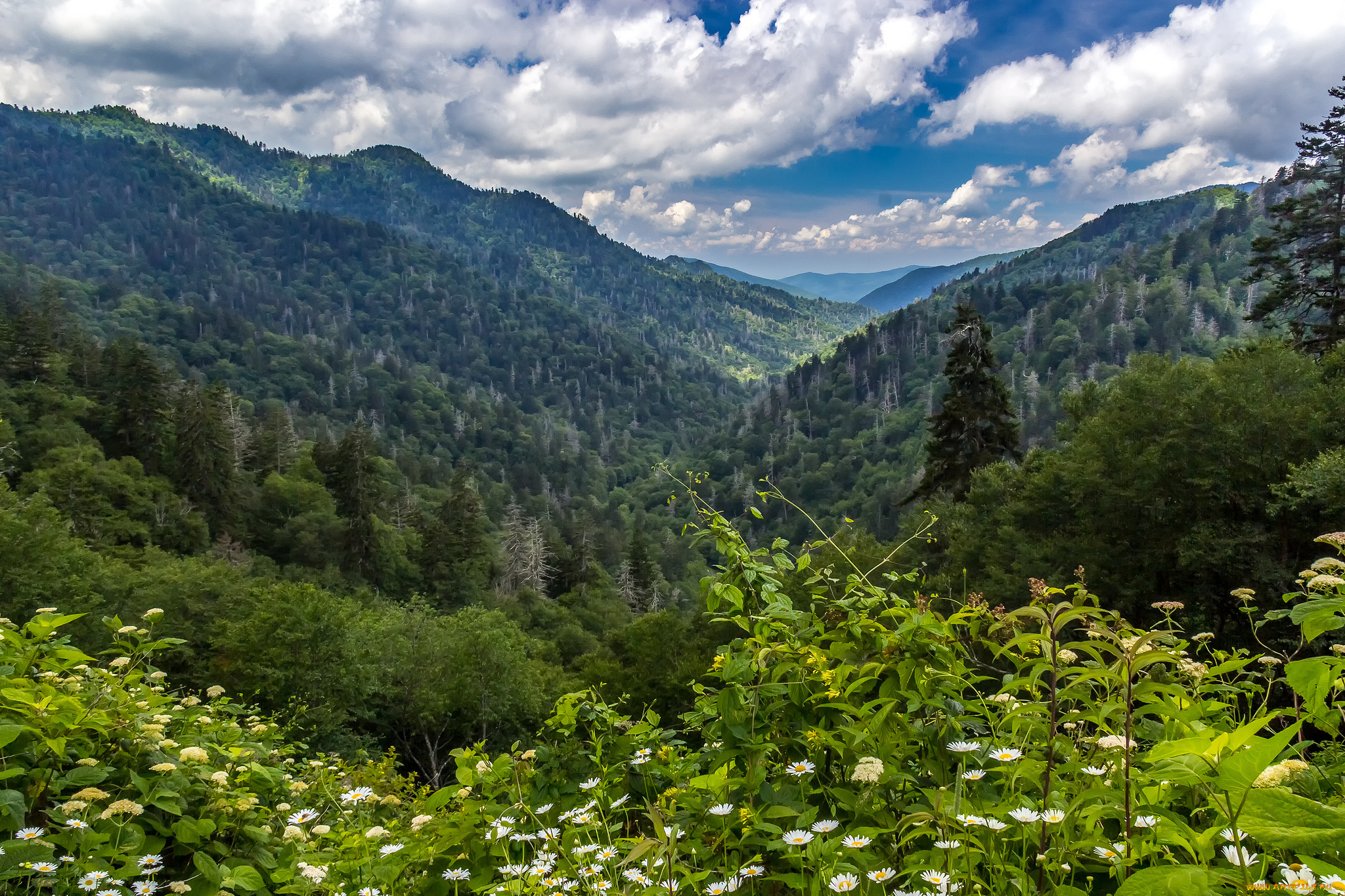 природа, горы, простор