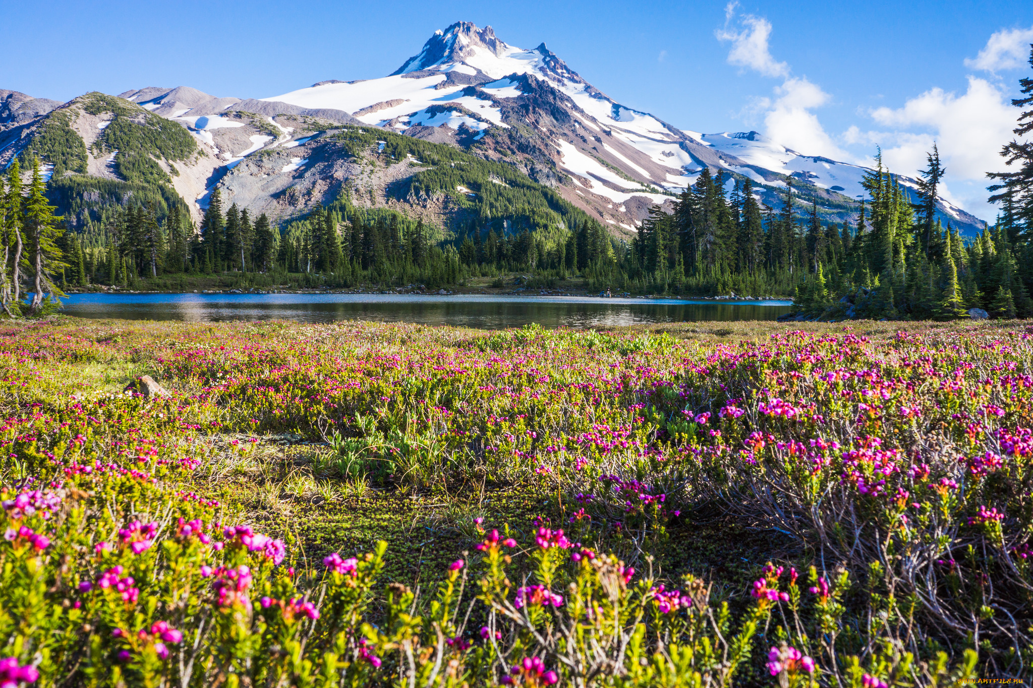 природа, горы, простор