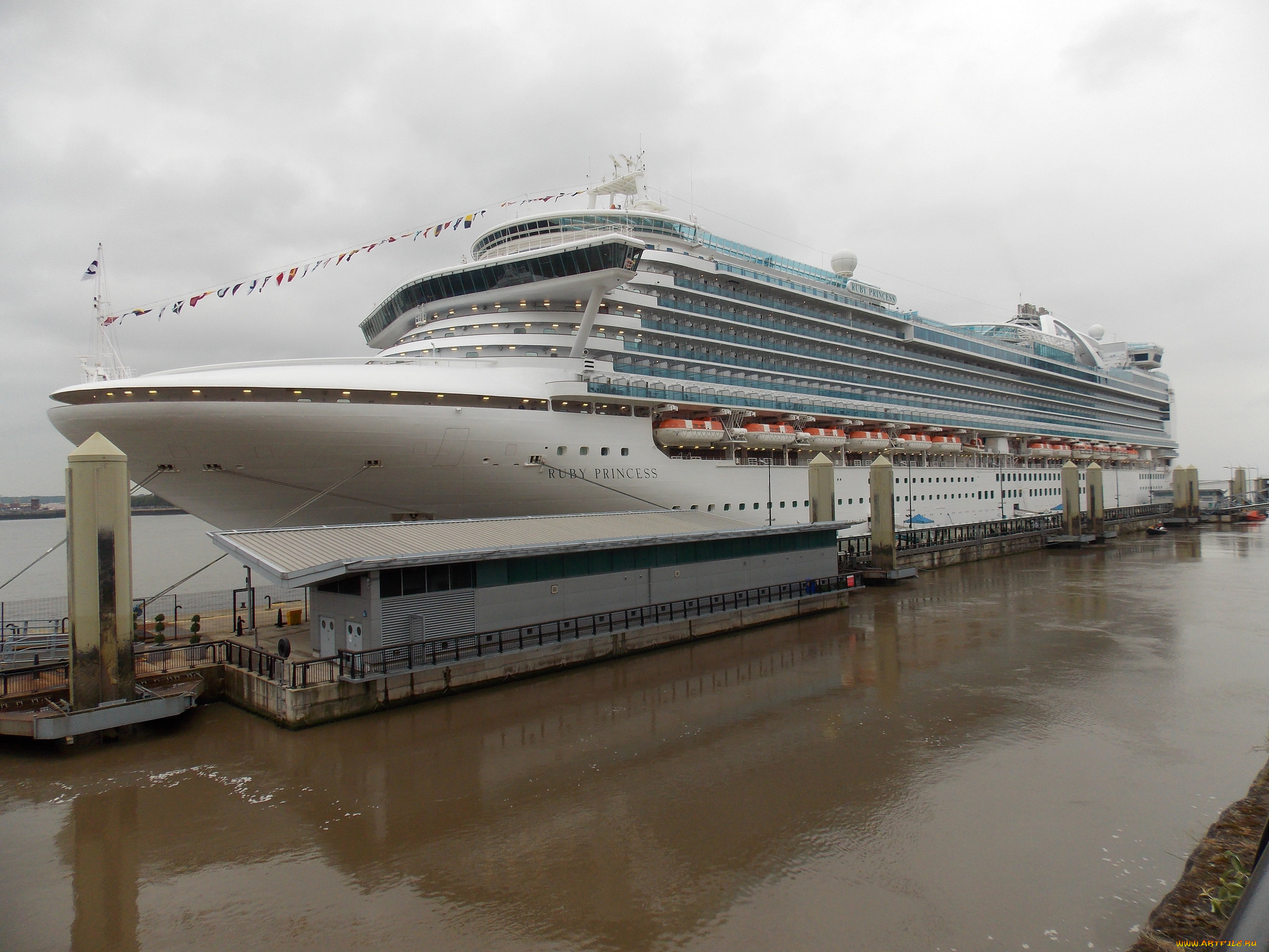 ruby, princess, корабли, лайнеры, круиз, лайнер