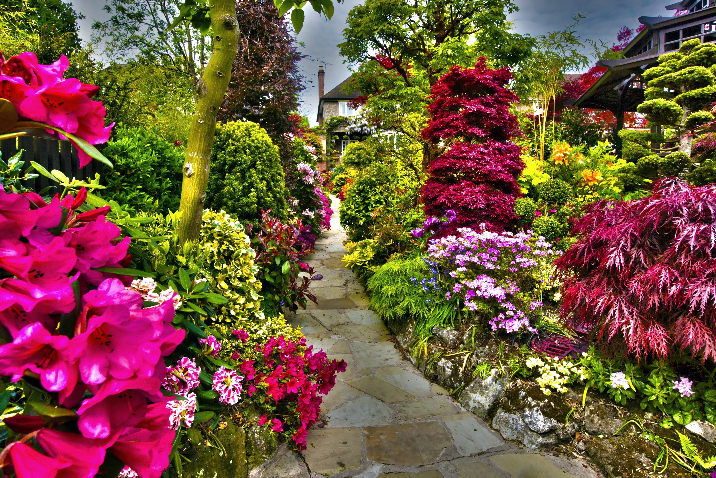 природа, парк, цветы, кусты