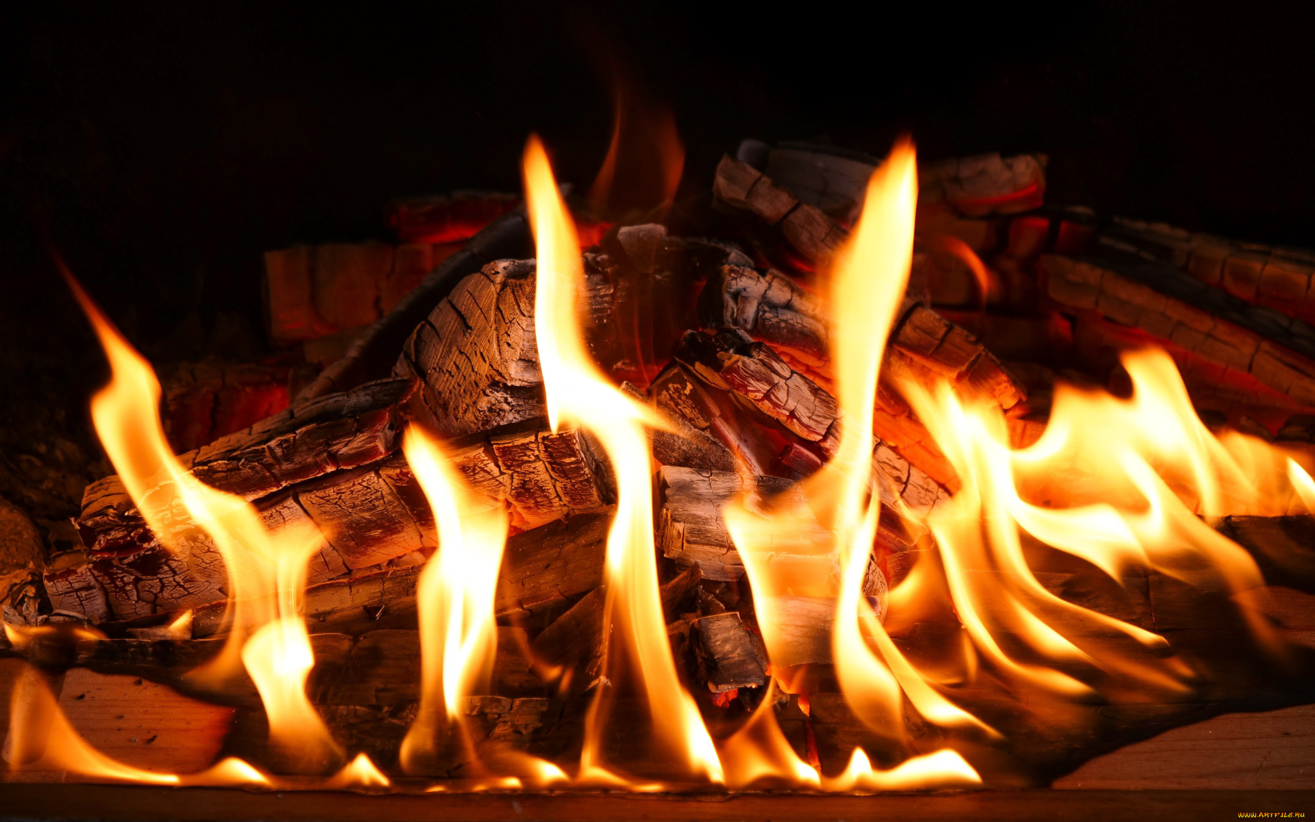 природа, огонь, пламя, дрова