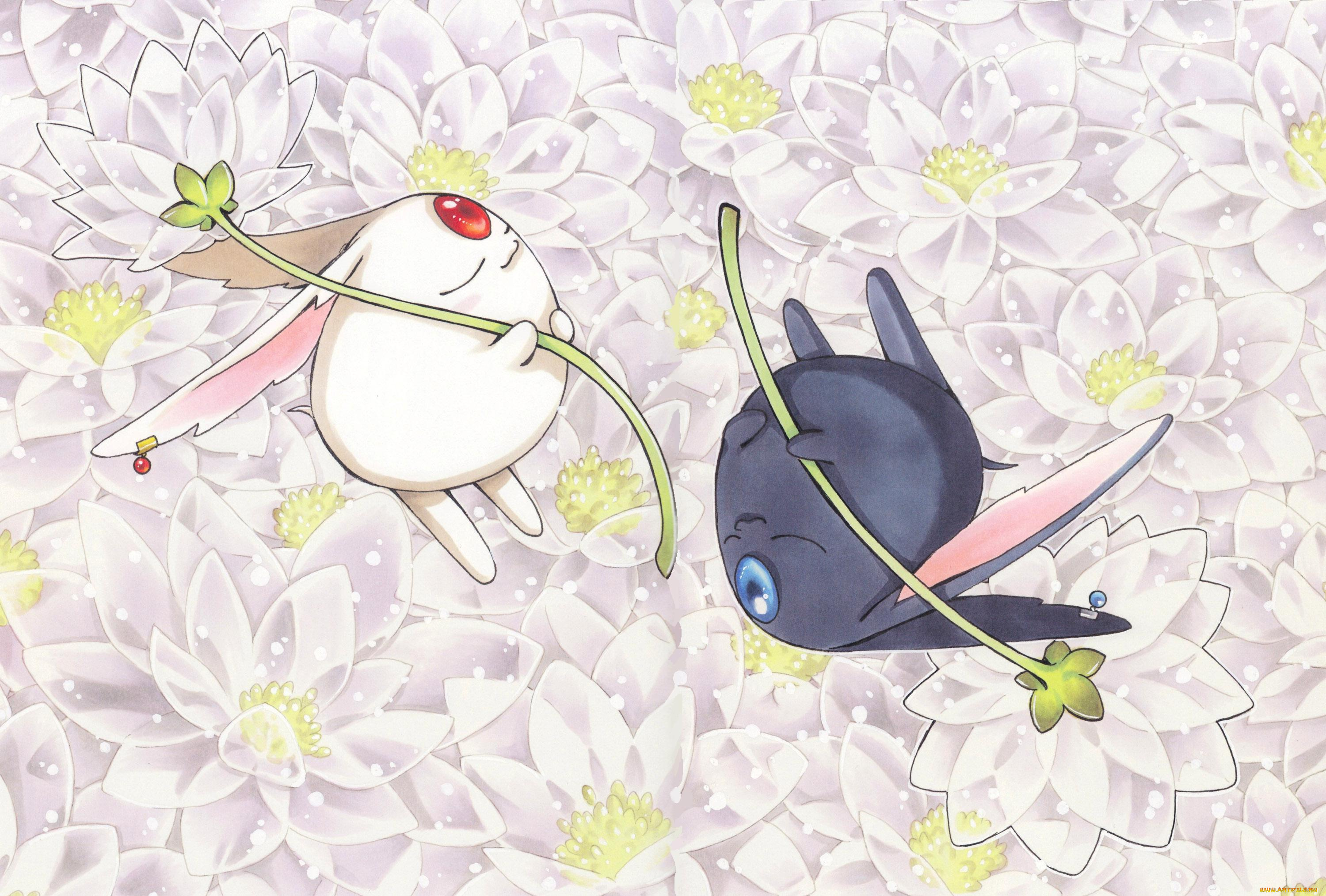 аниме, tsubasa, reservoir, chronicles, белый, цветы, черный, существа