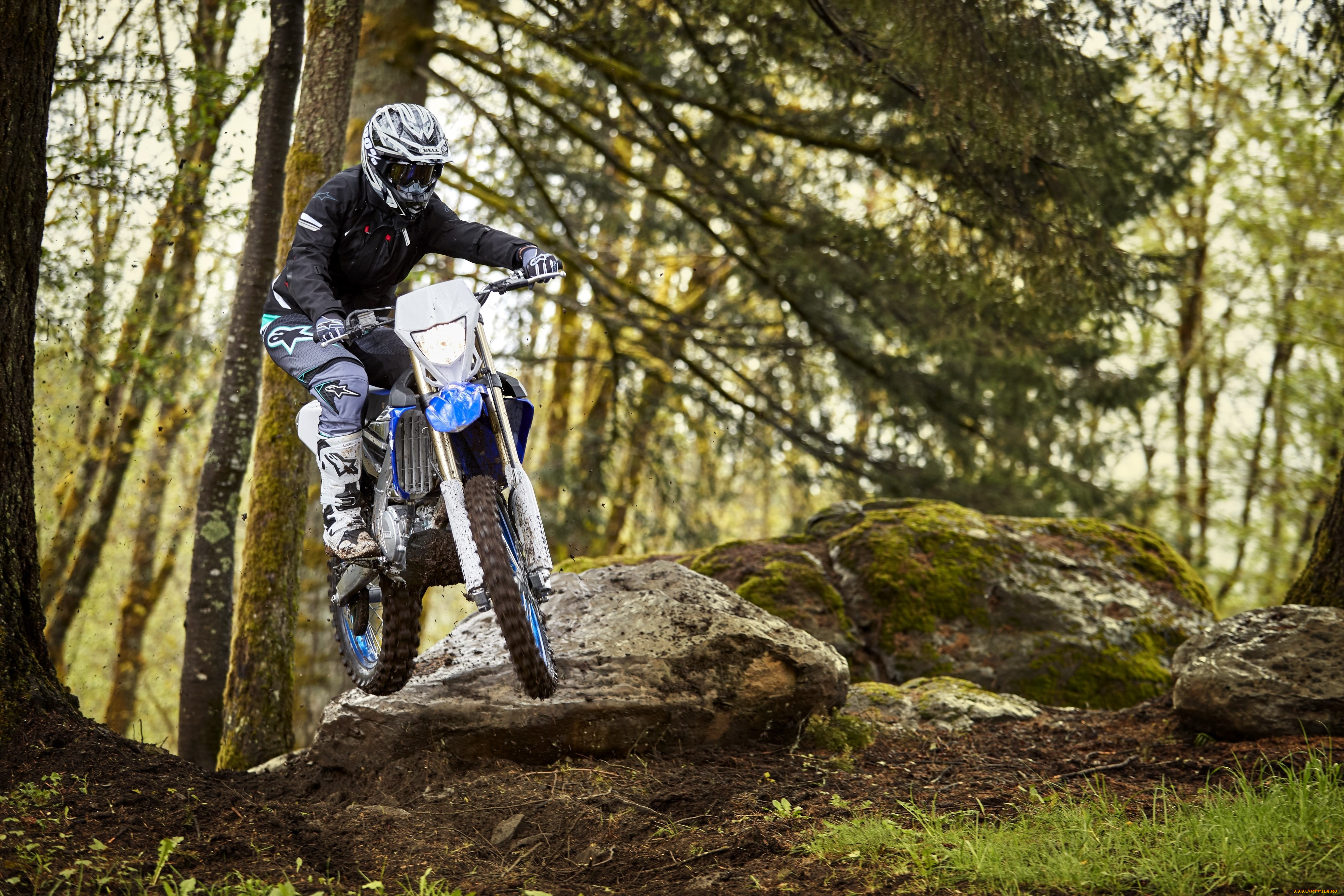 спорт, мотокросс, гонки, скорость