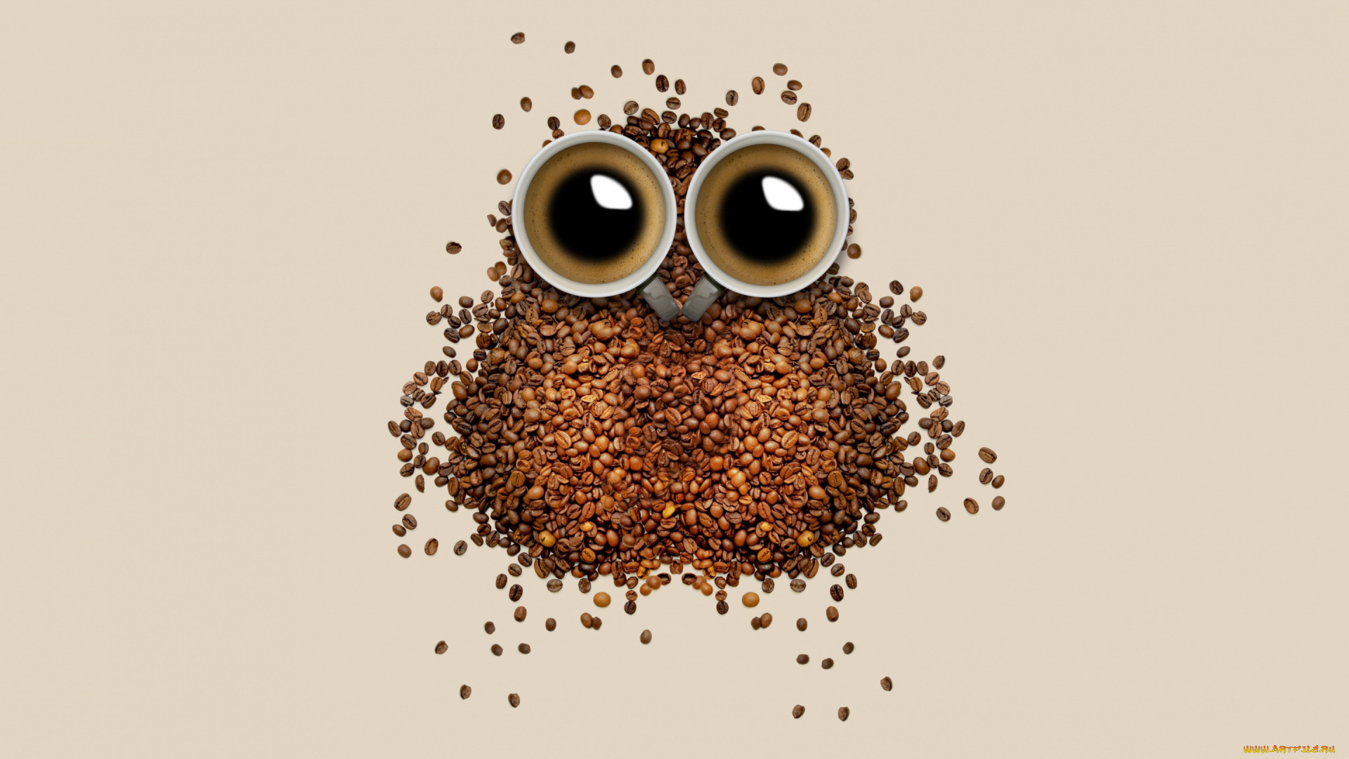 еда, кофе, , кофейные, зёрна, зерна, чашка, сова