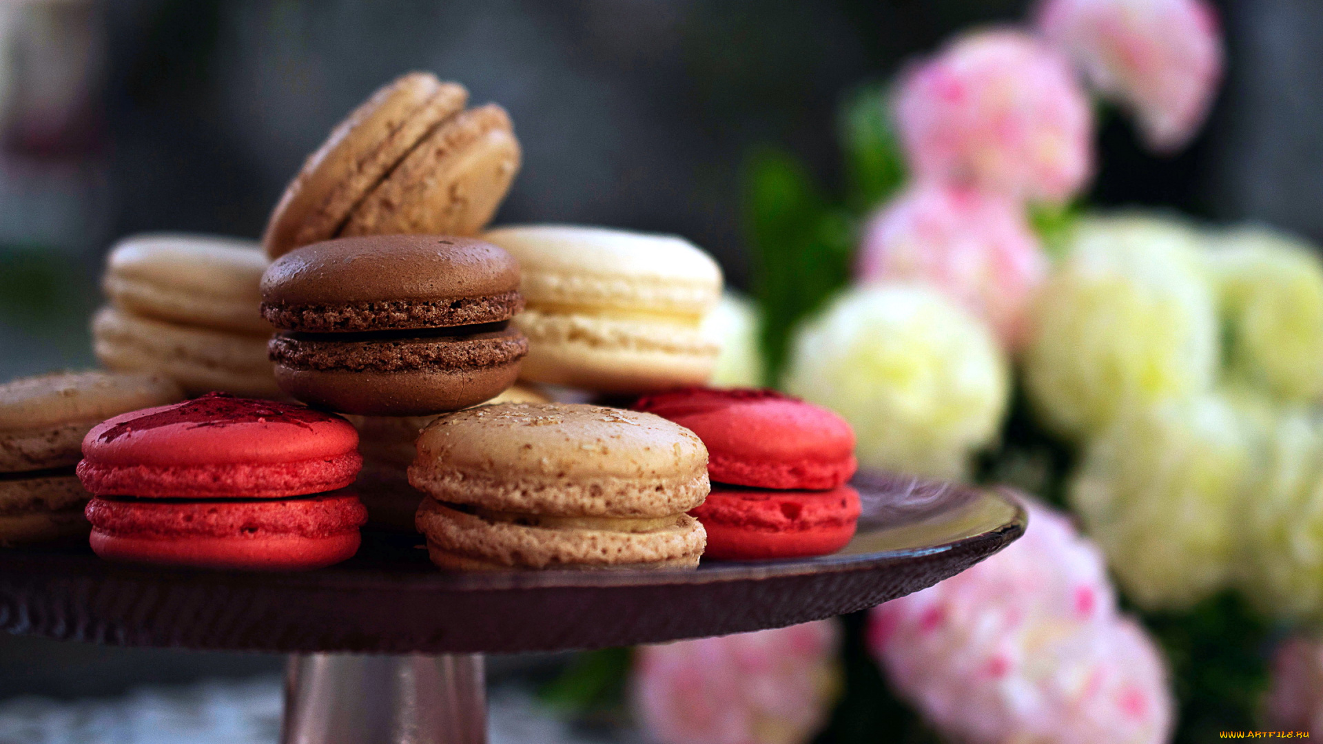 еда, макаруны, печенье, лакомство