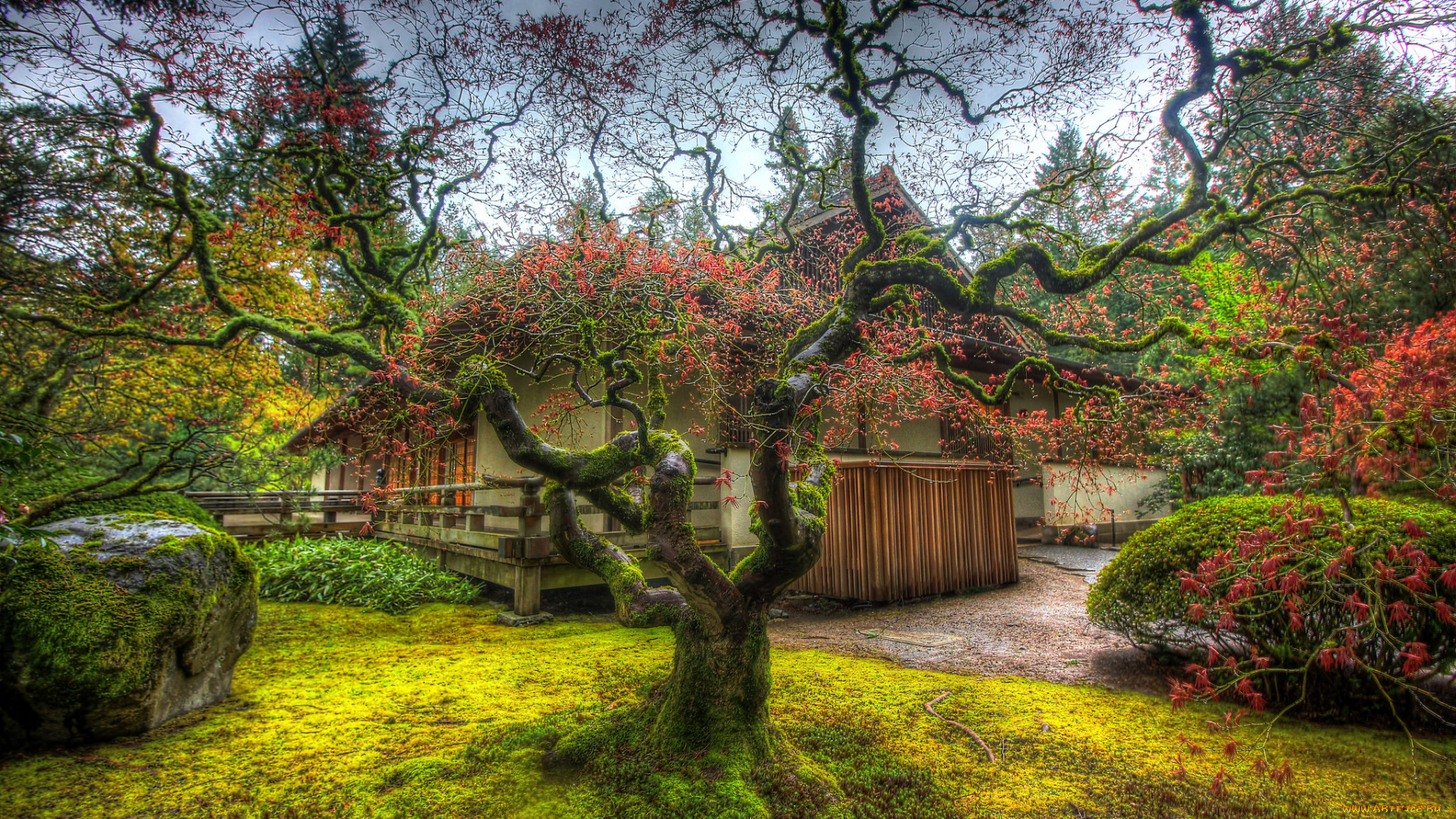 города, -, пейзажи, простор