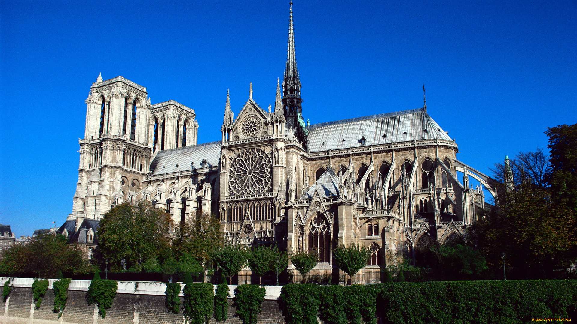notre, dame, de, paris, города, париж, , франция, notre, dame, de, paris