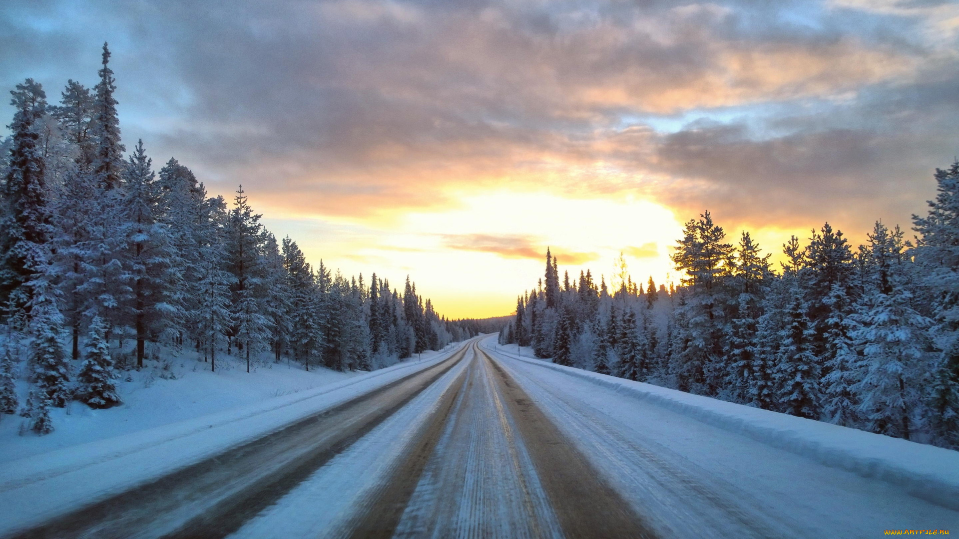 природа, дороги, ели, снег, лес