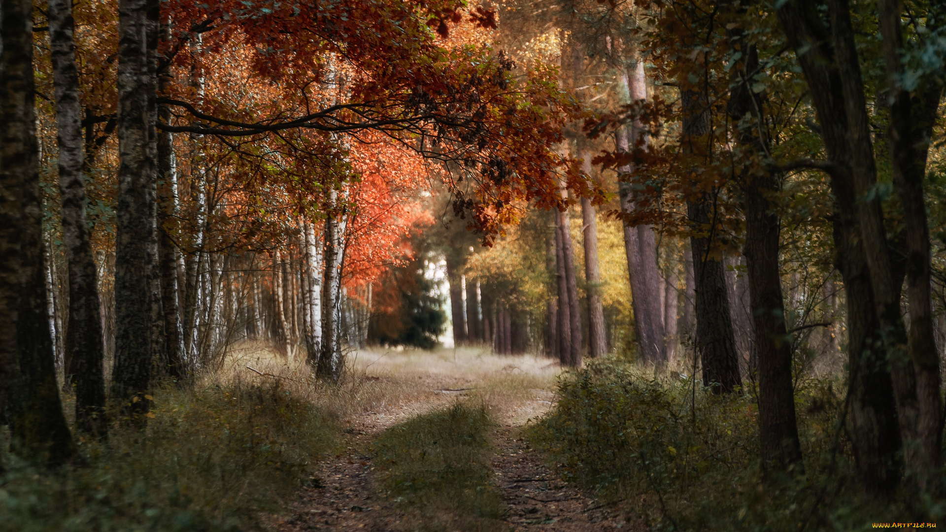 природа, дороги, простор