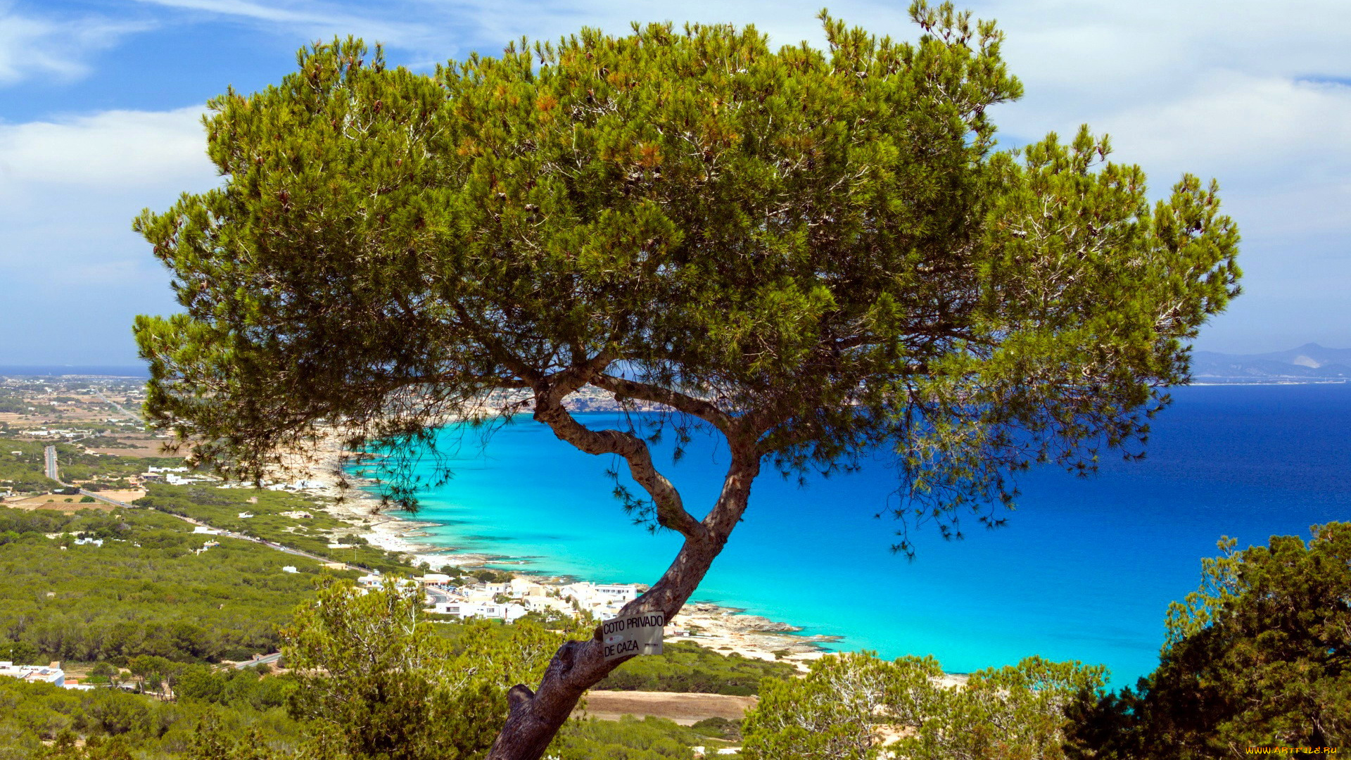 природа, побережье, залив