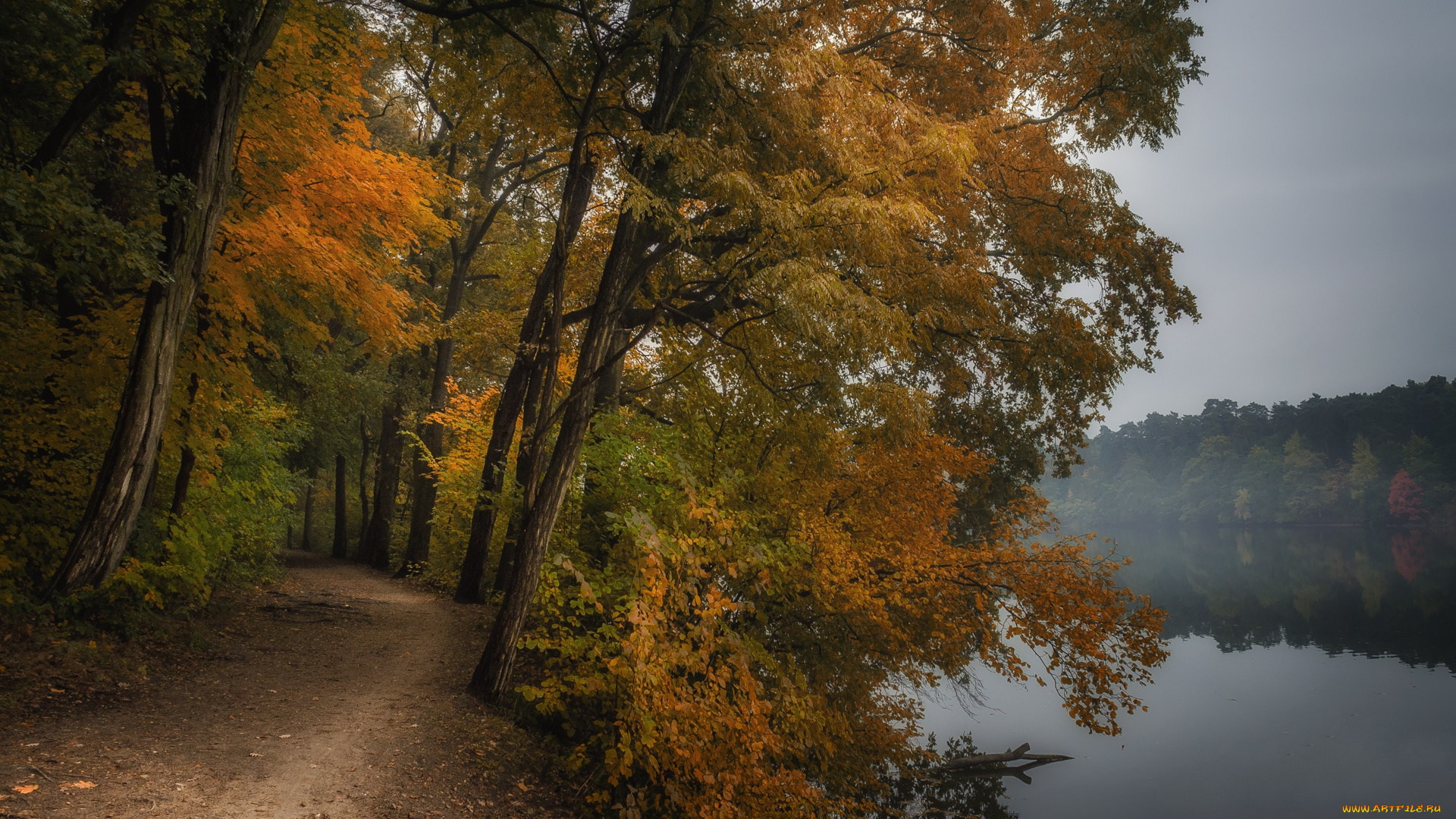 природа, реки, озера, простор