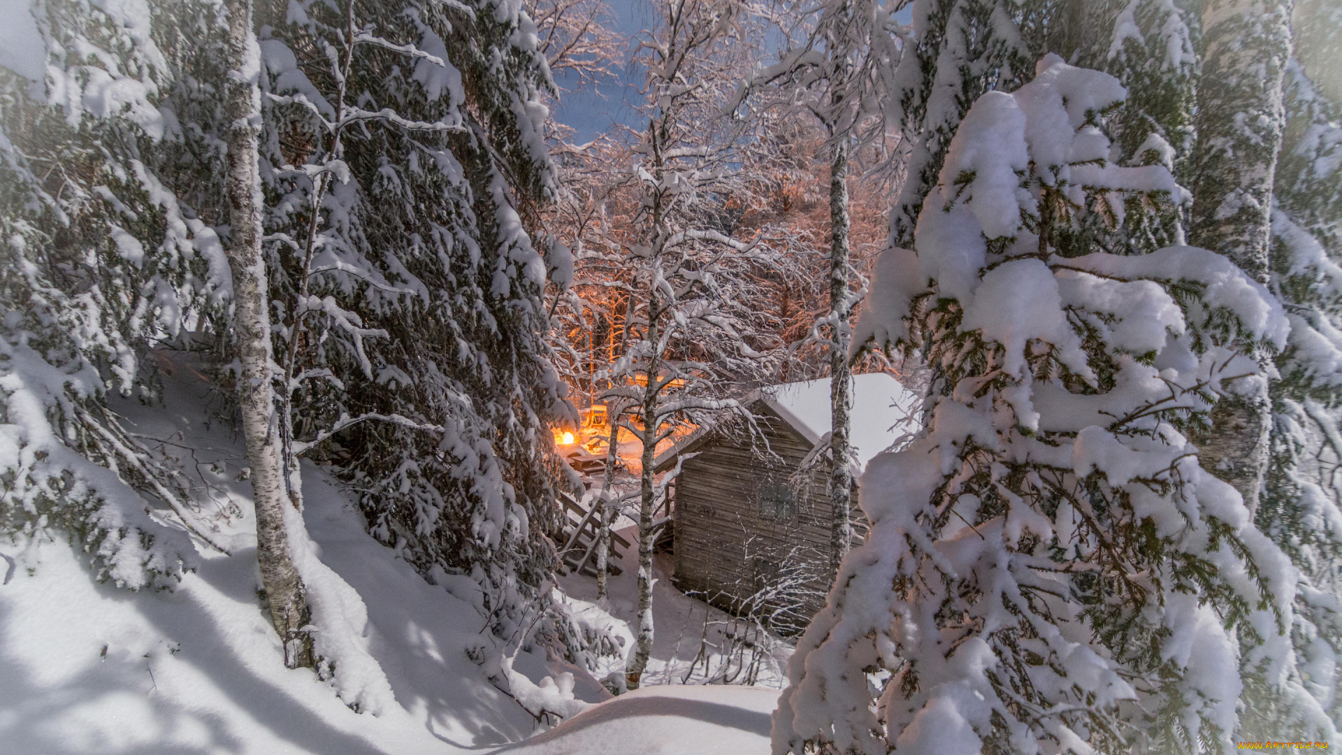 природа, зима, деревья, снег