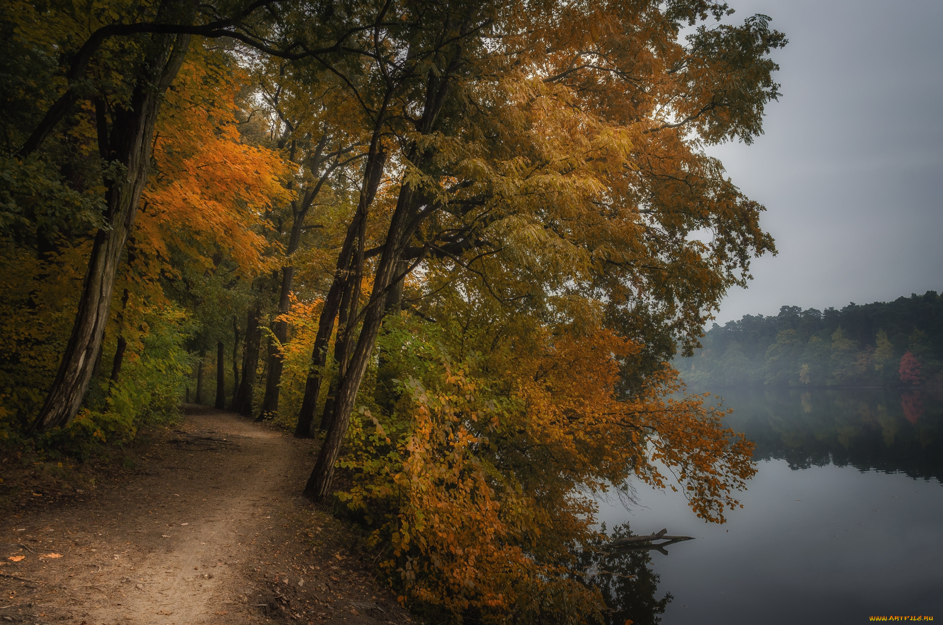 природа, реки, озера, простор