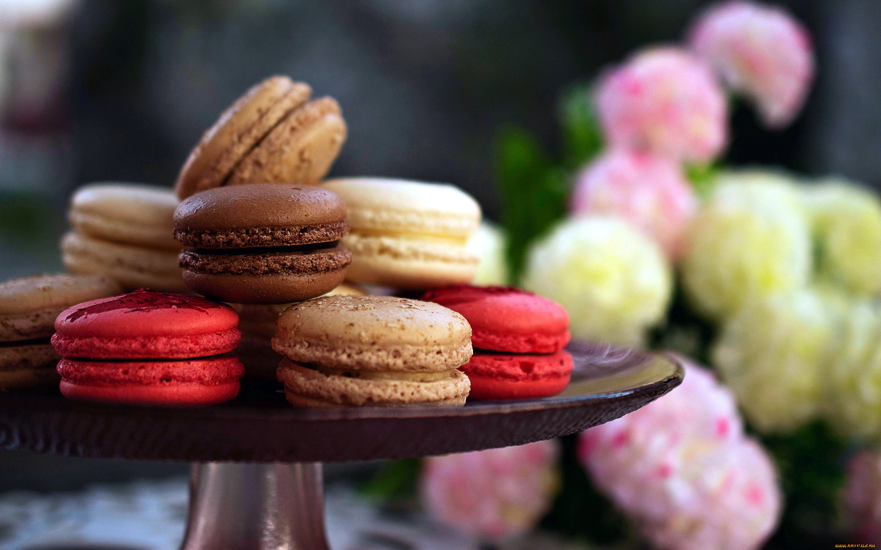 еда, макаруны, печенье, лакомство