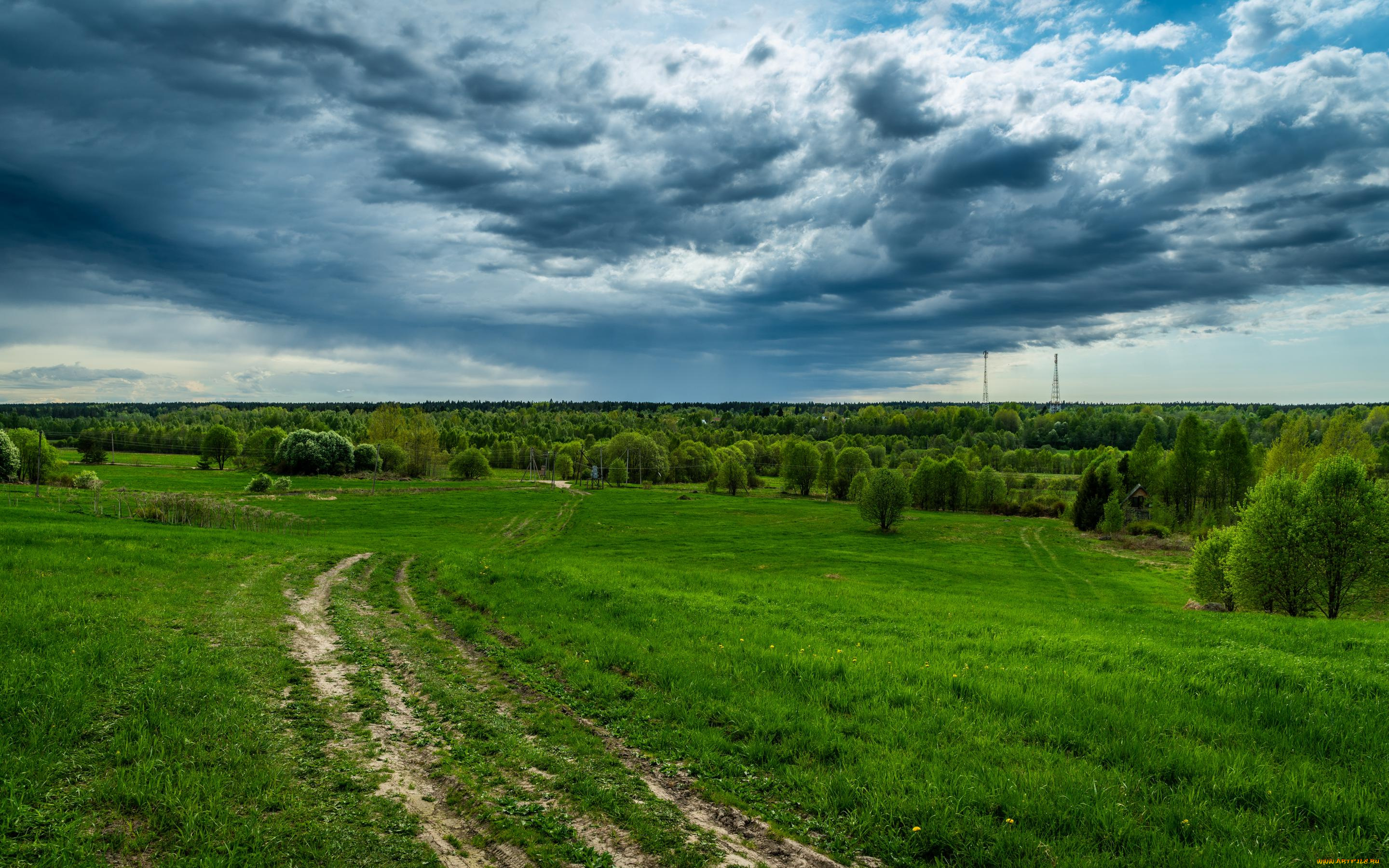 природа, пейзажи, луг, дорога, облака