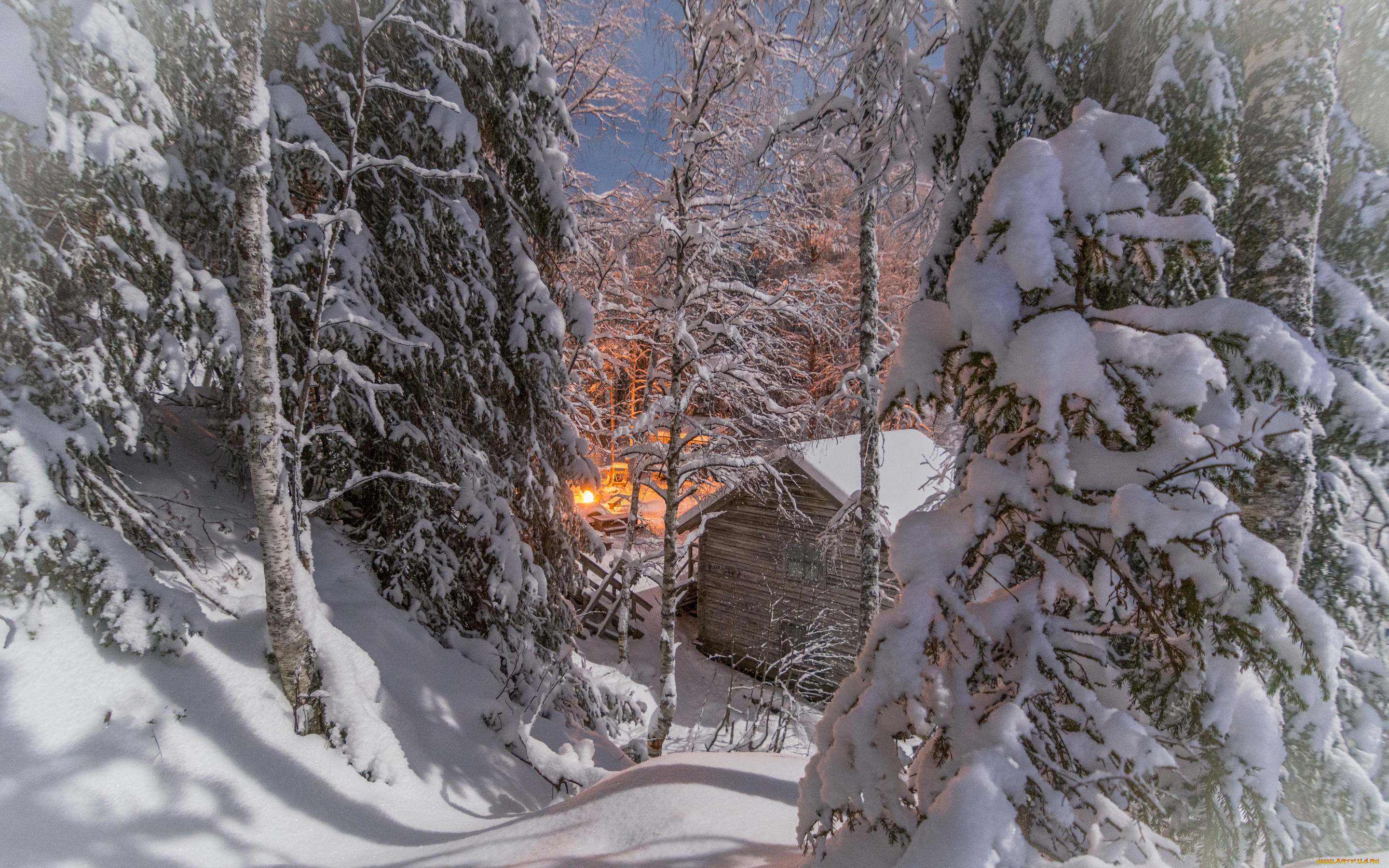 природа, зима, деревья, снег