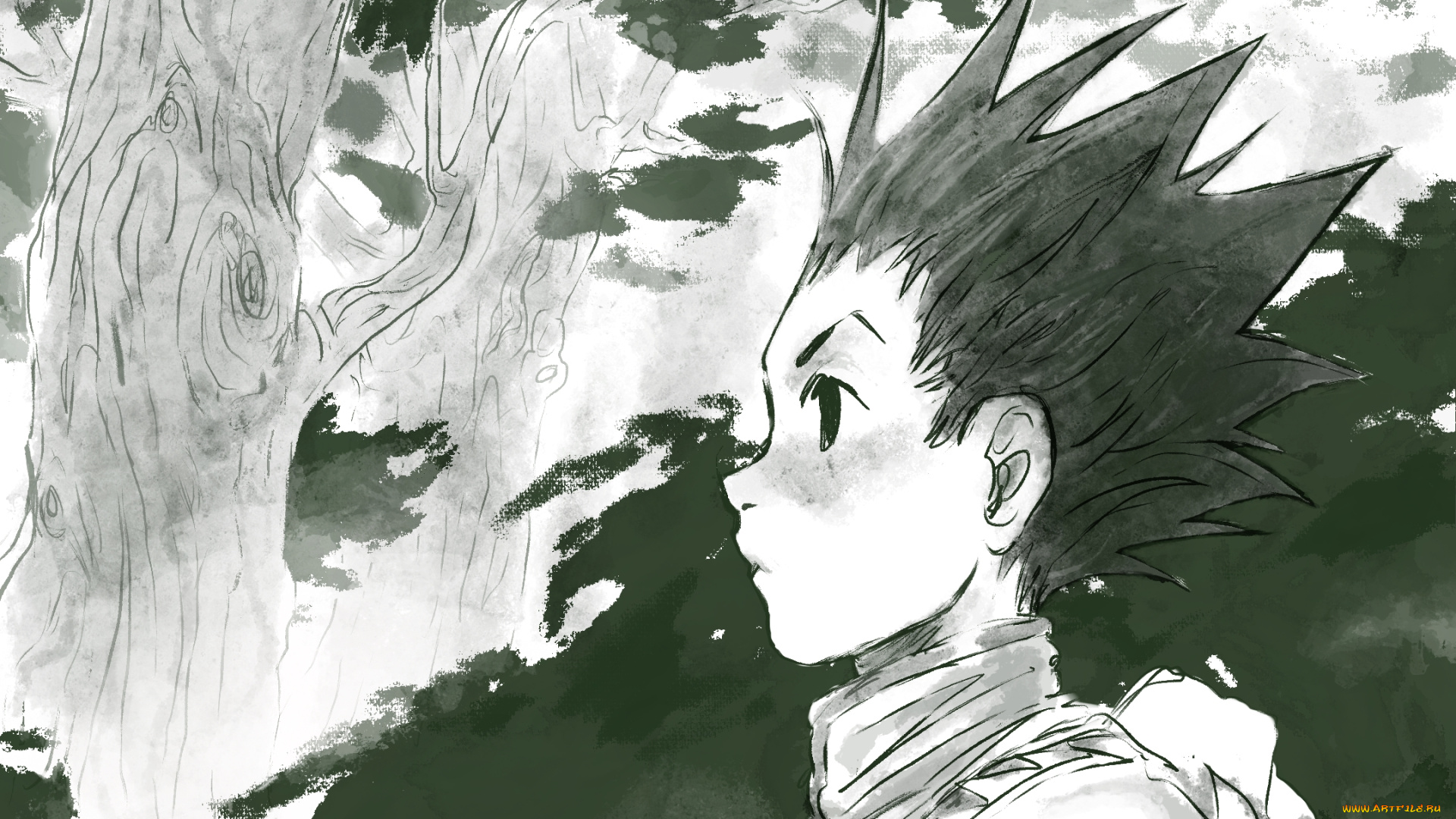 аниме, hunter, x, hunter, охотник, х