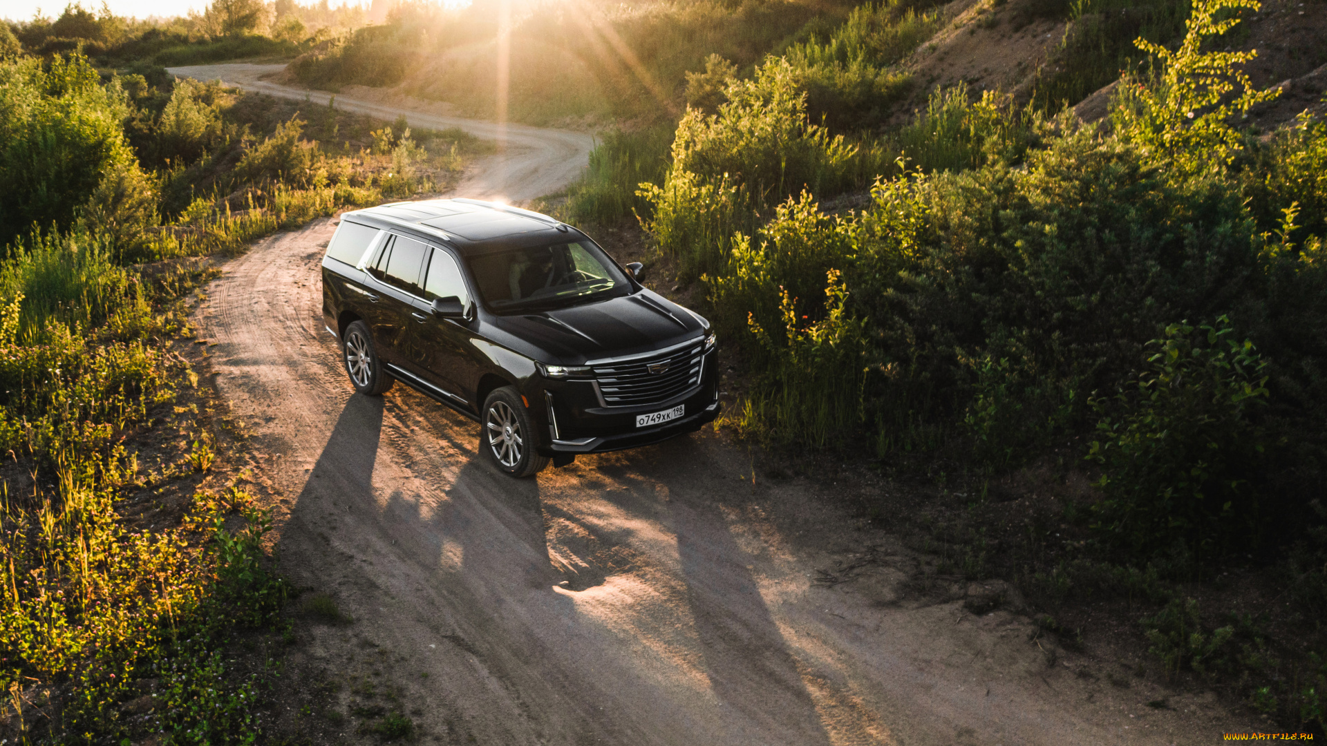 автомобили, cadillac