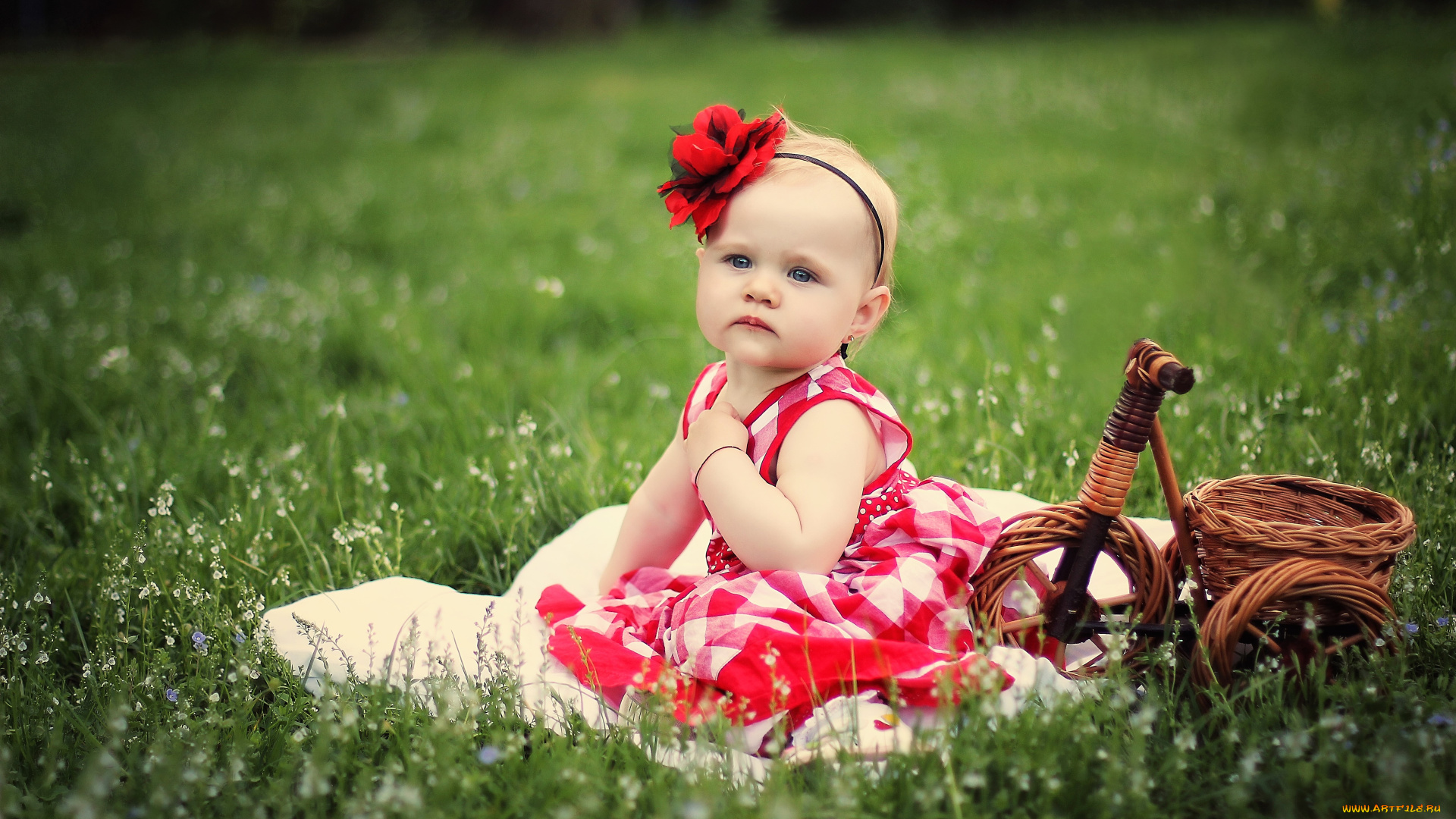 разное, дети, девочка, корзина, лужайка