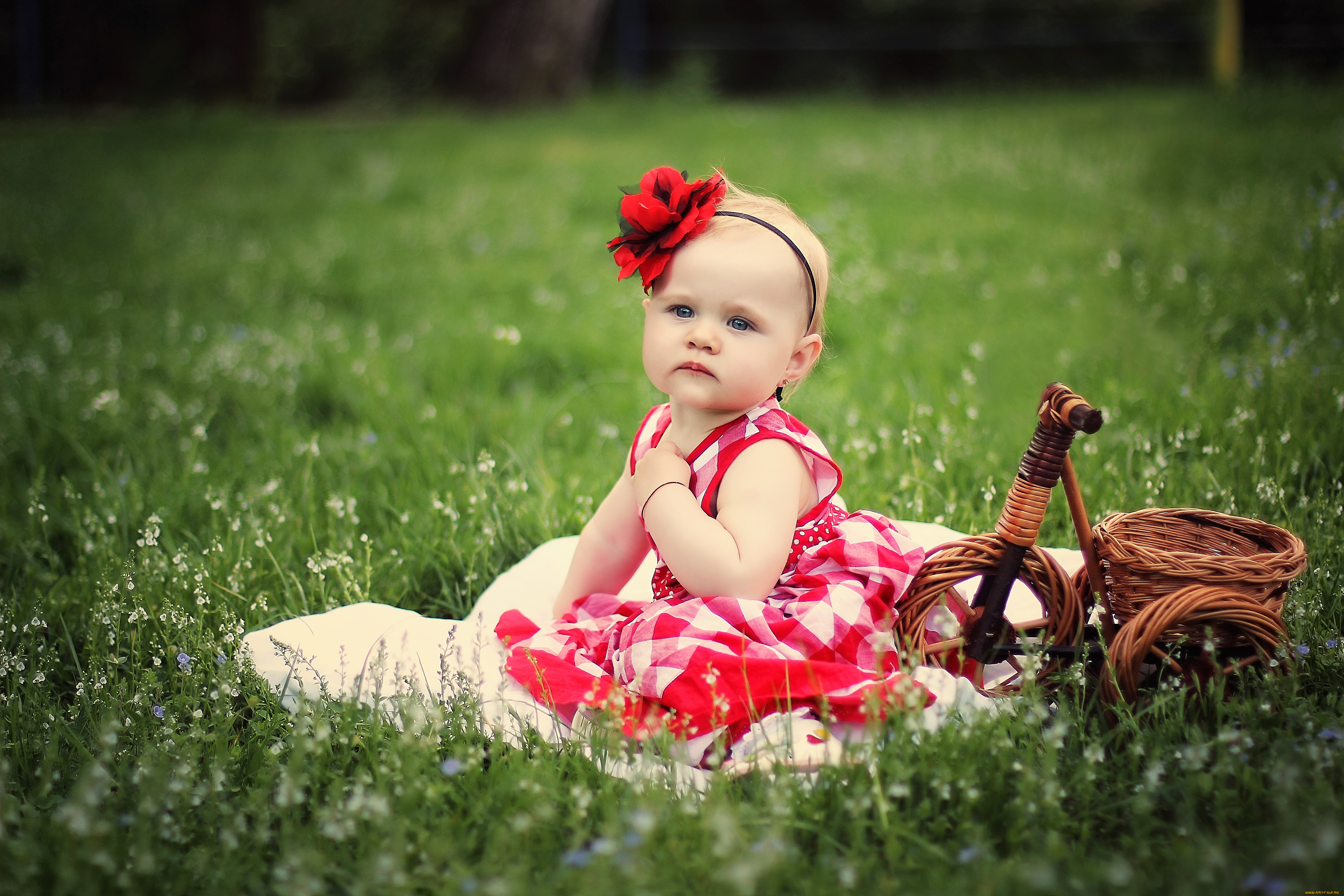 разное, дети, девочка, корзина, лужайка