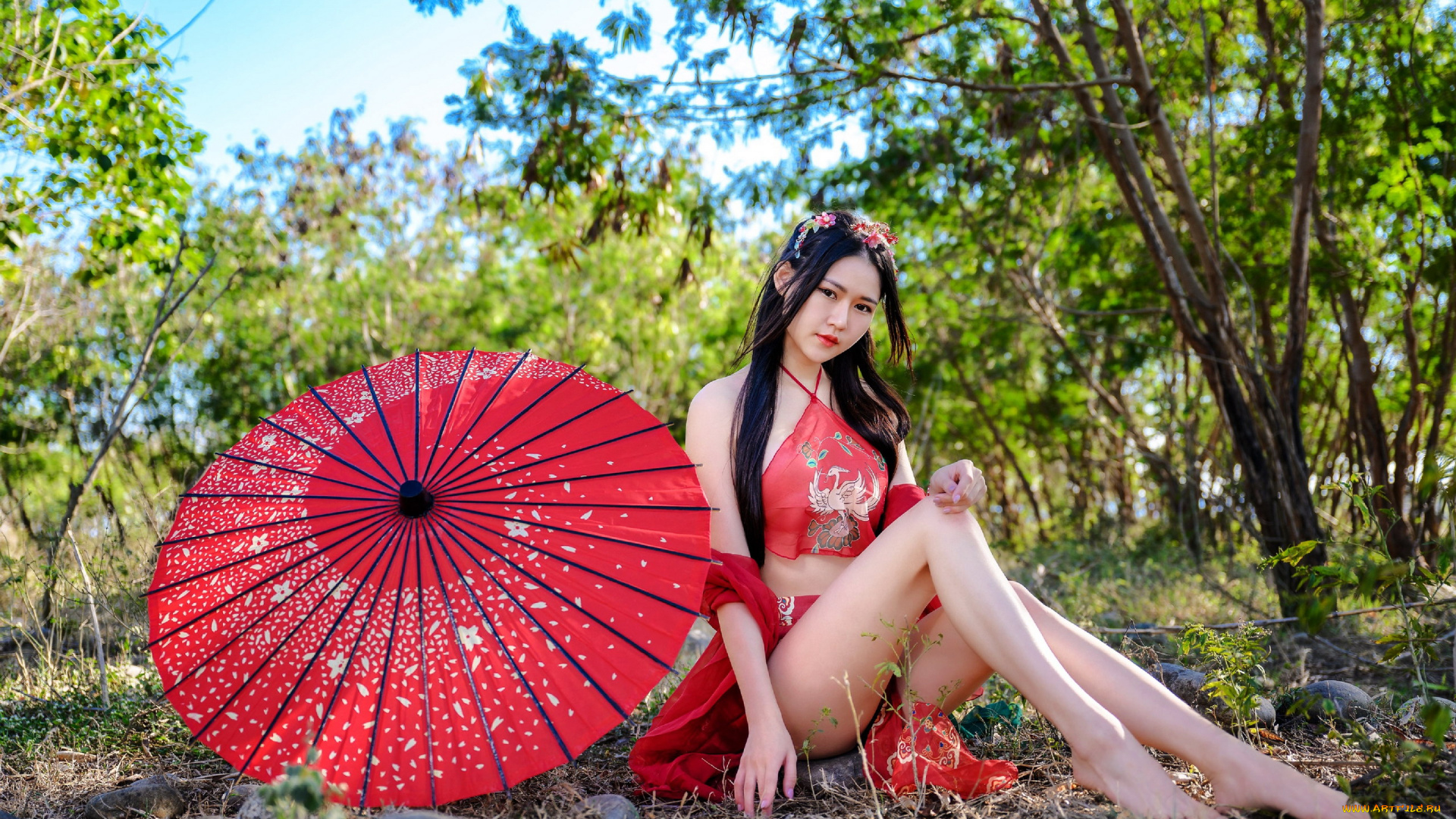 девушки, -, азиатки, азиатка, поза, зонтик