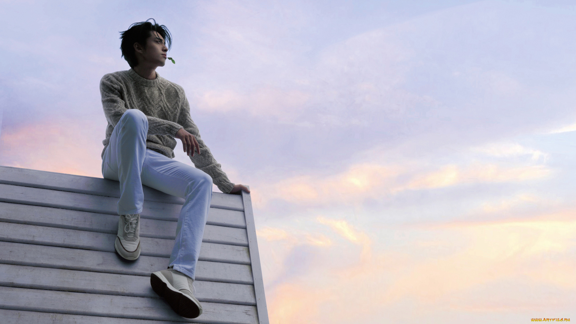 мужчины, wang, hedi, , dylan, wang, дилан, ван