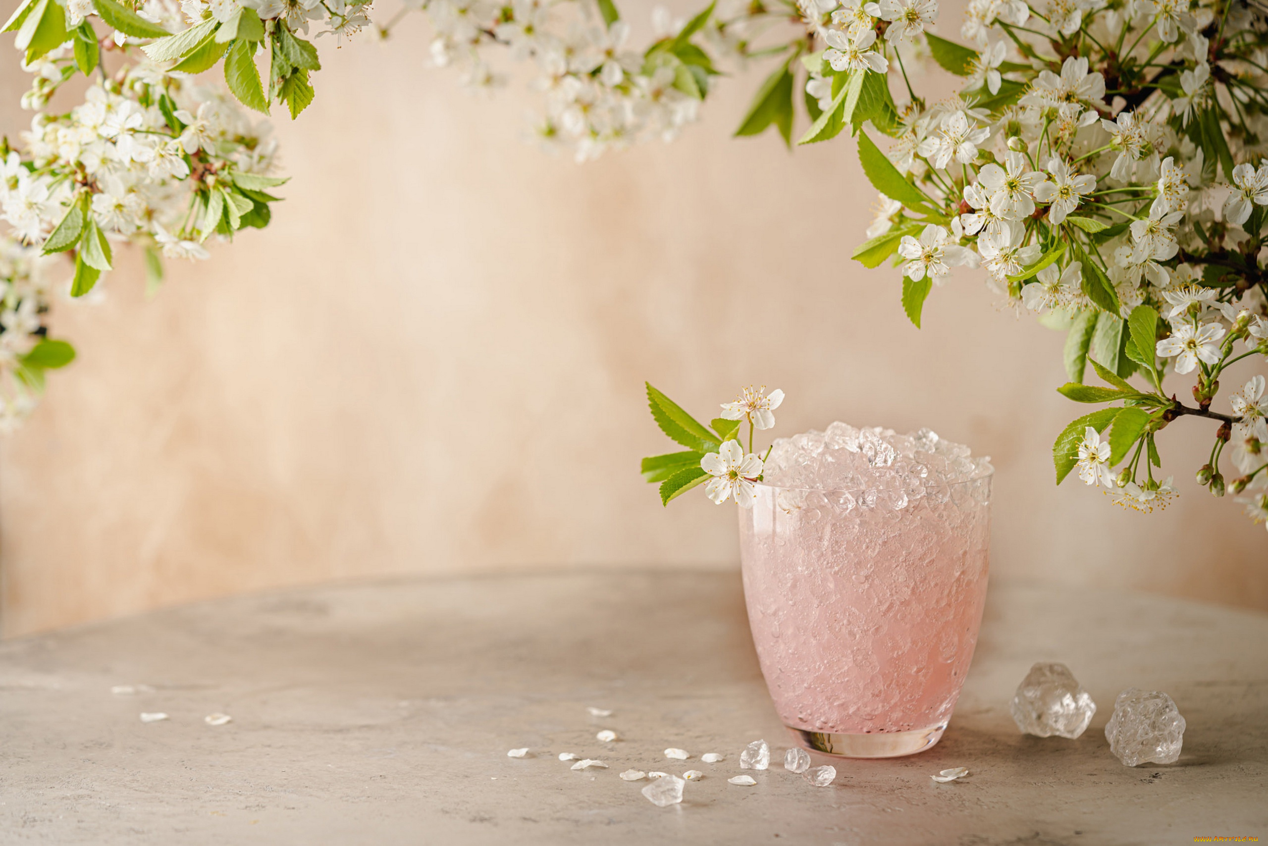 еда, натюрморт, лёд