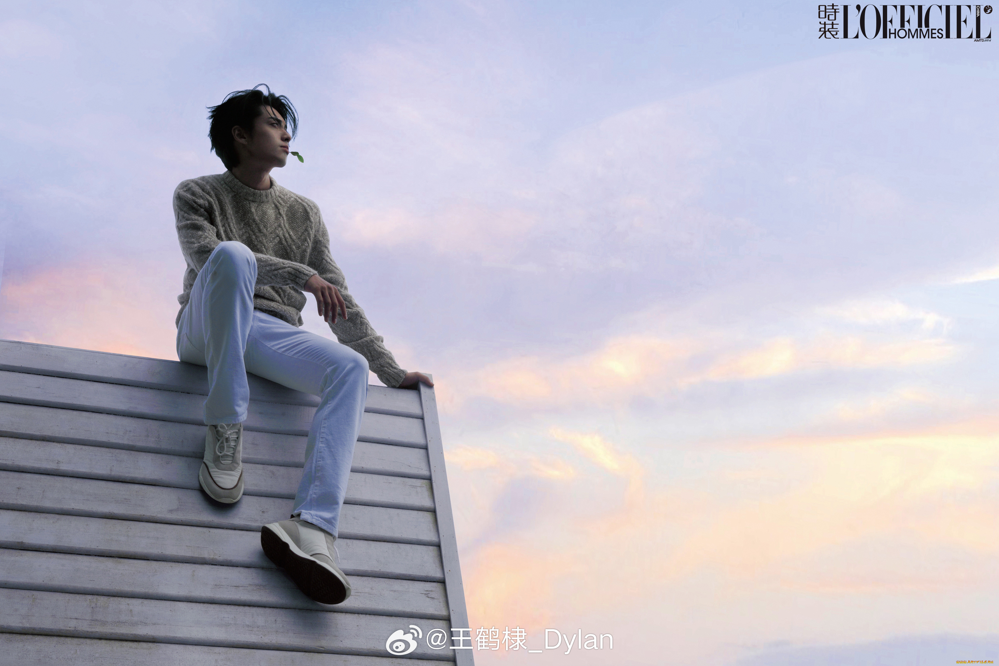 мужчины, wang, hedi, , dylan, wang, дилан, ван