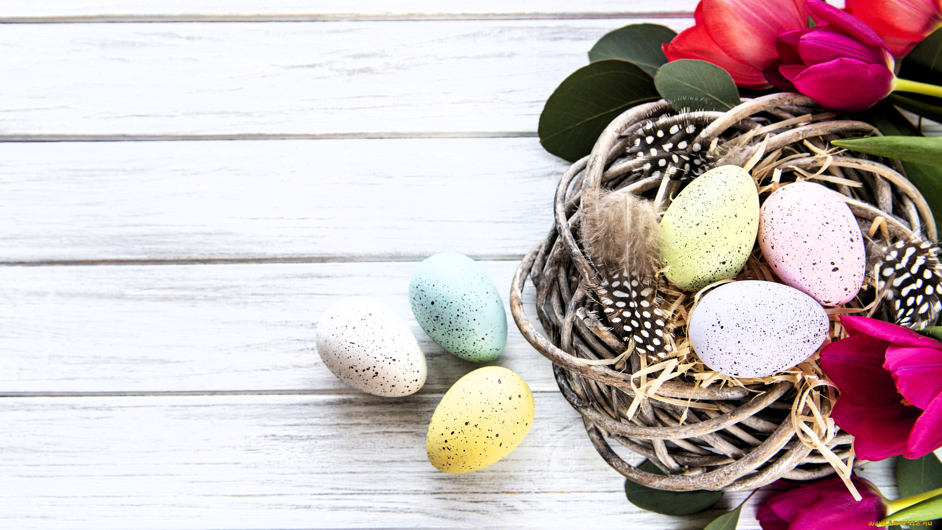 праздничные, пасха, яйца, гнездо, перья, листья, цветы, тюльпаны