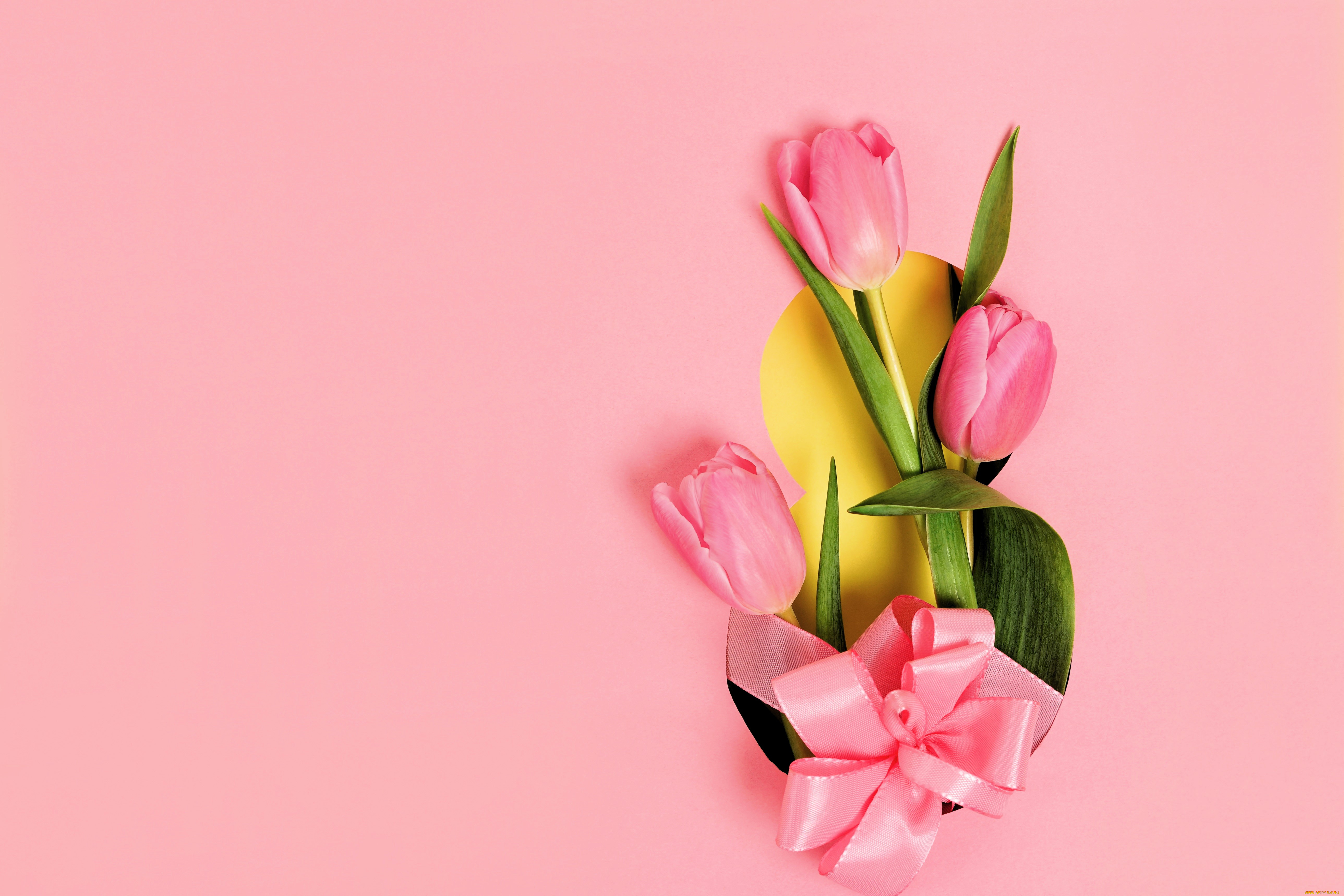 праздничные, международный, женский, день, -, 8, марта, восьмерка, цветы, тюльпаны, бант