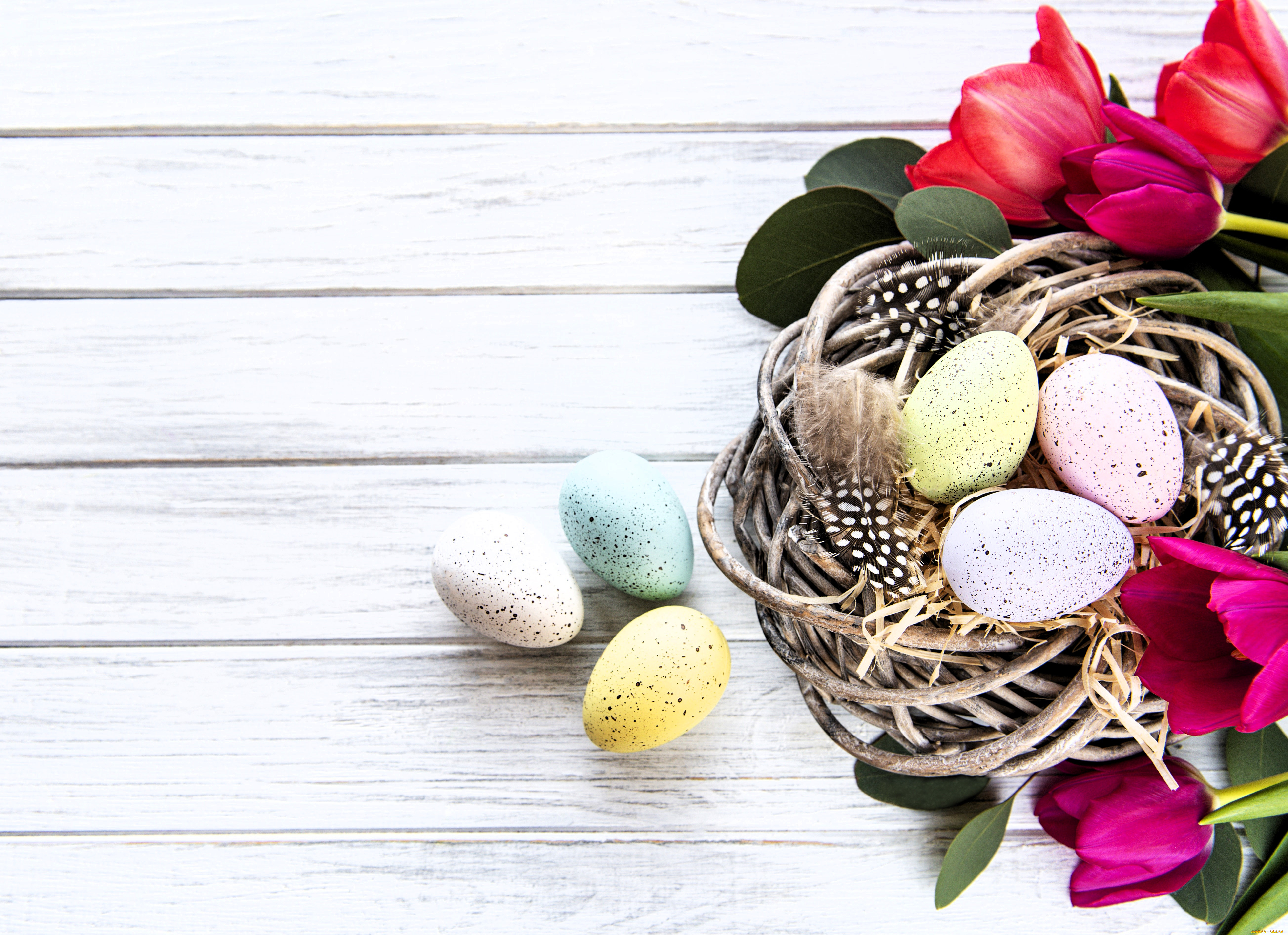 праздничные, пасха, яйца, гнездо, перья, листья, цветы, тюльпаны