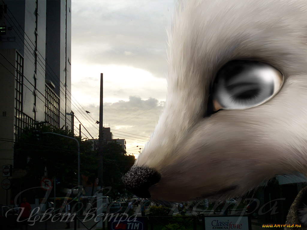 разное, компьютерный, дизайн