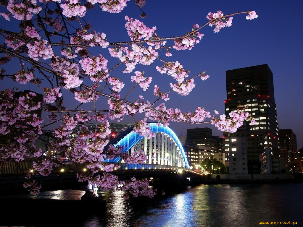 города, огни, ночного