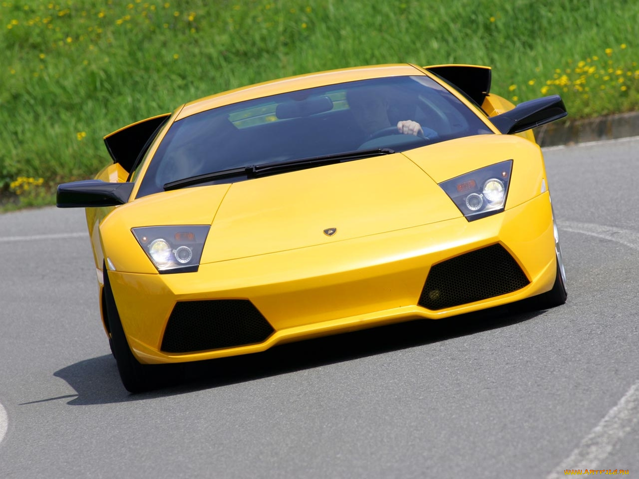 автомобили, lamborghini